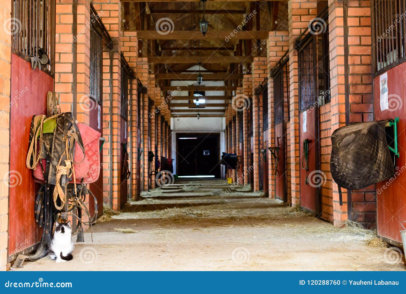 Empty Horse Stables With Dirt Wagon On Asphalt RoyaltyFree Stock Photo