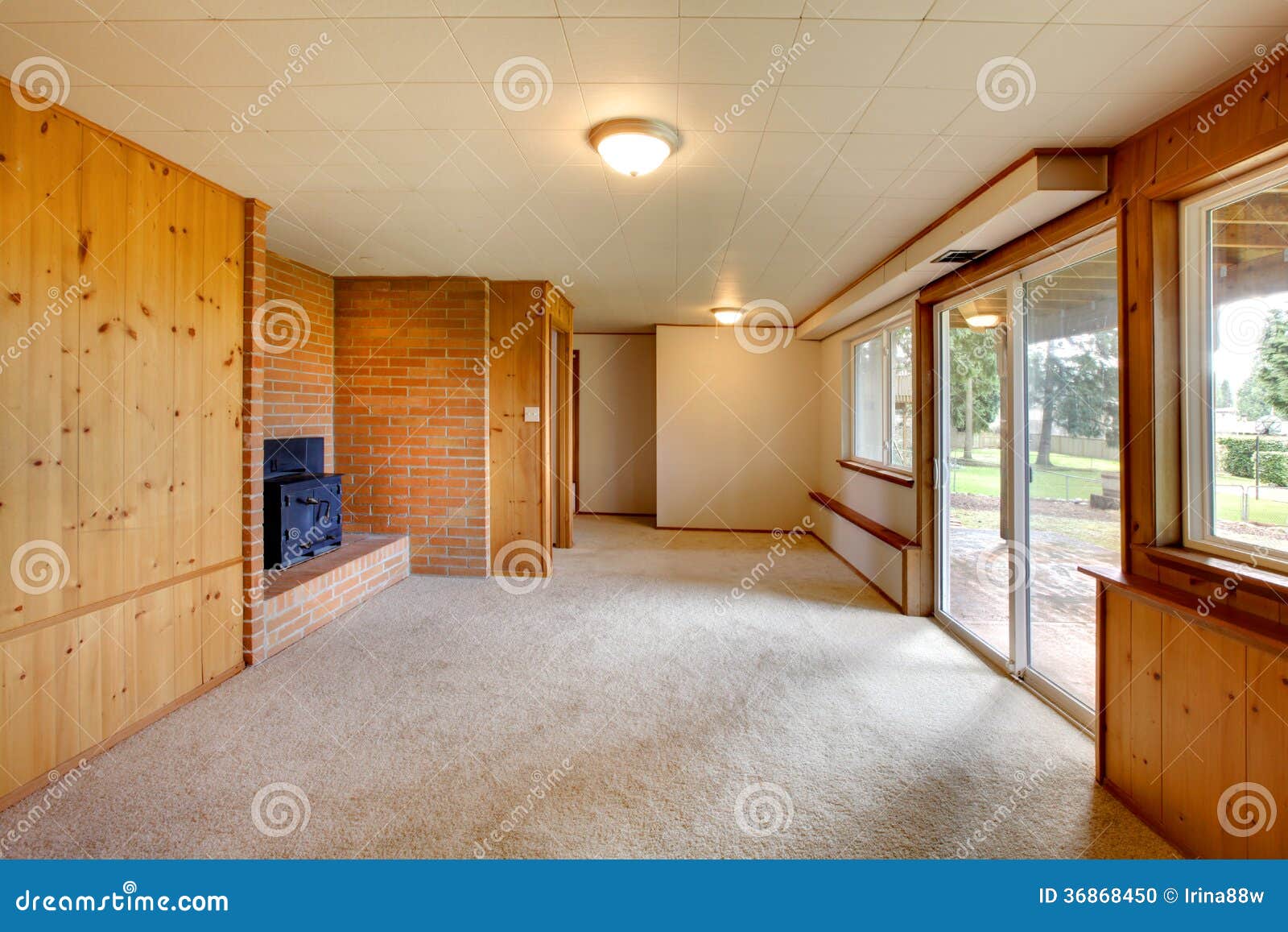 Empty Living Room With Wood Panel Walls And Cast Iron 