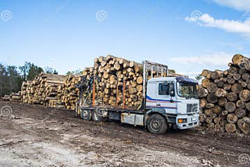 An Empty Log Truck Editorial Photo Image Of Transport 98076766