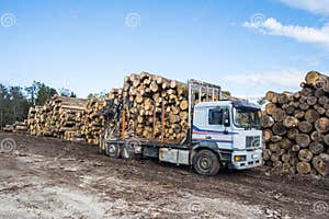 An Empty Log Truck Editorial Photo Image Of Transport 98076766 An Empty Log Truck Editorial Photo Image Of Transport 98076766