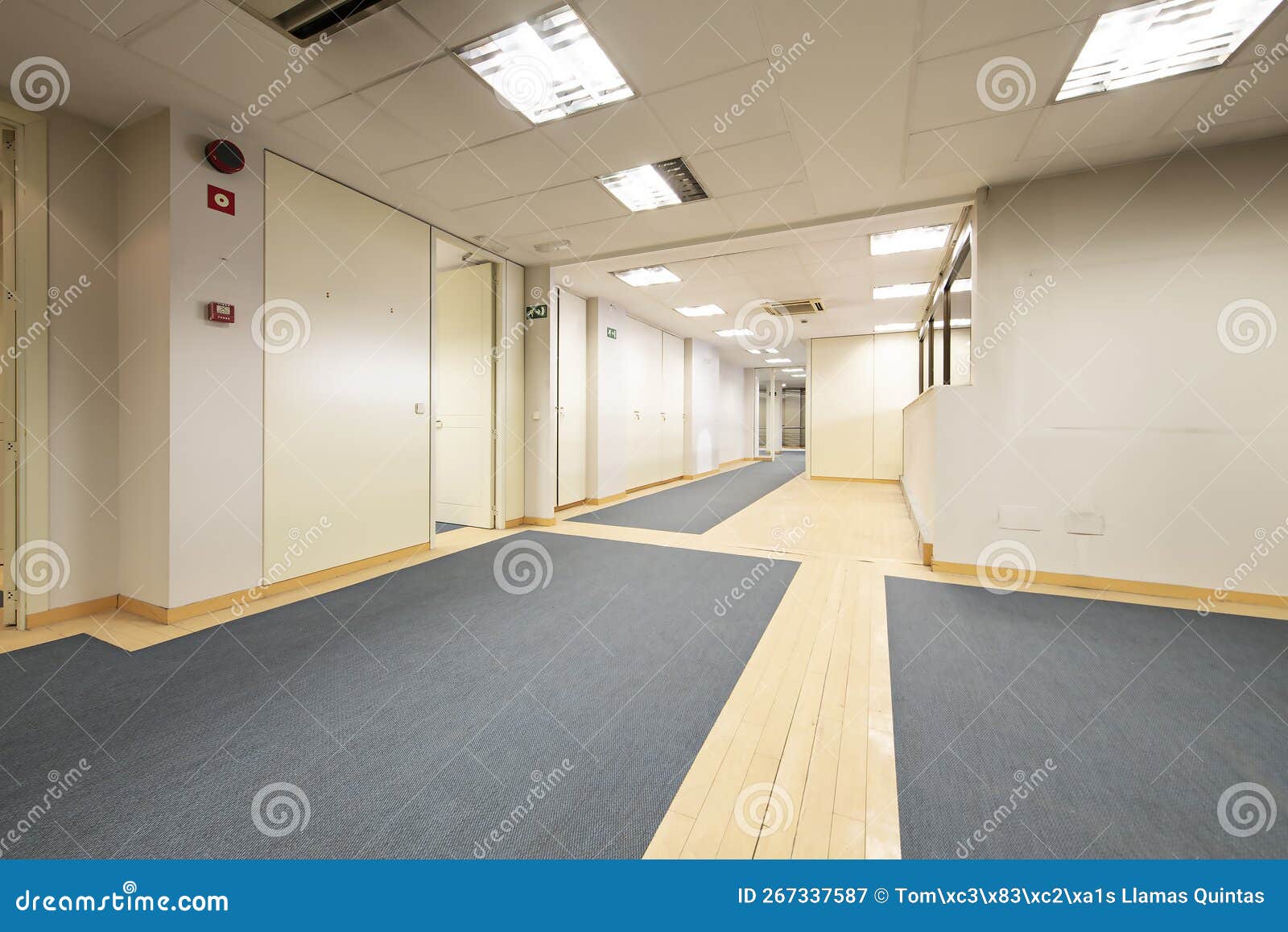 An Empty Long Hall Hall of an Office Office with Mixed Blue Carpet and