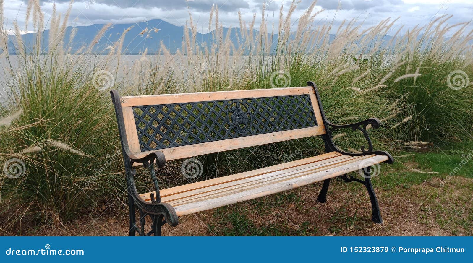 Empty Long Wooden Chair with Nature View. Stock Image - Image of long,  front: 152323879