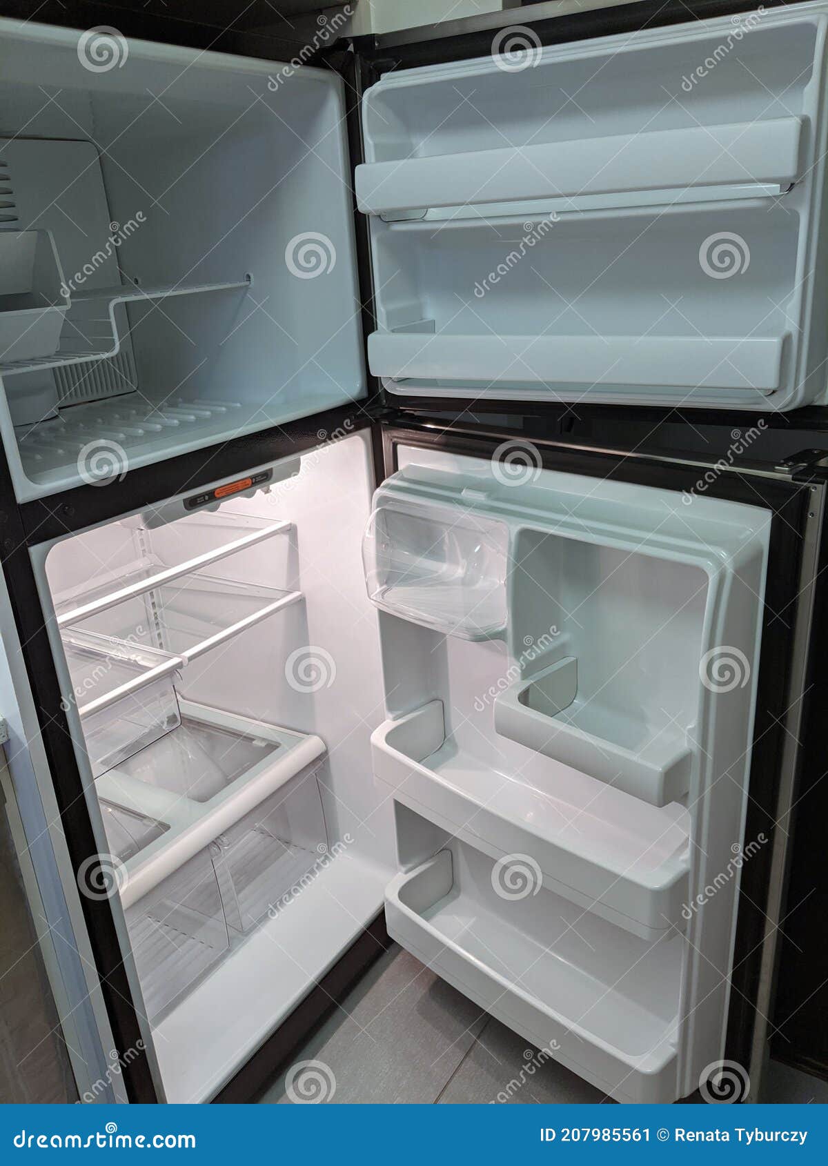 Empty, Modern Refrigerator and Freezer with Opened Doors. Inside of a