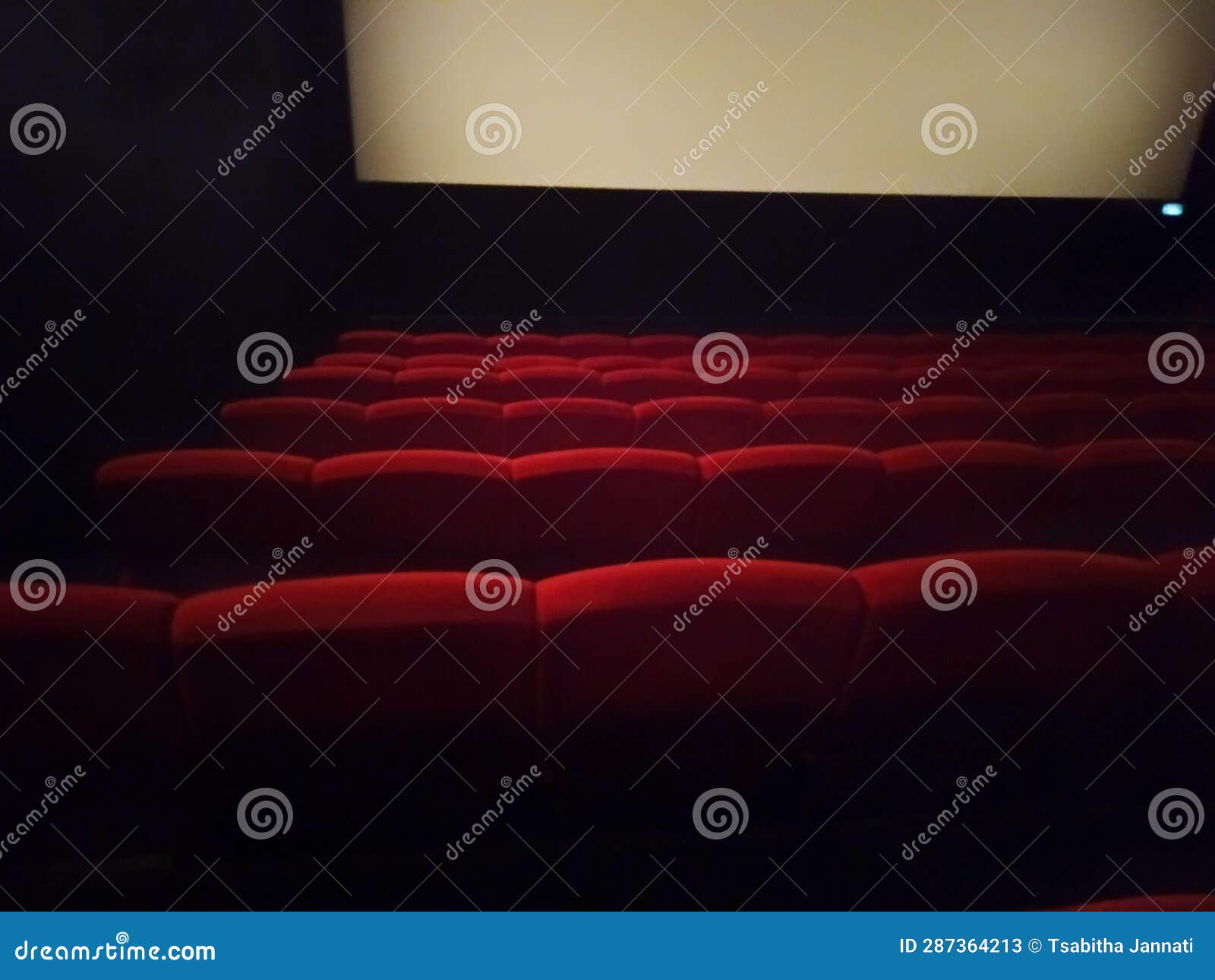 empty movie theather with empty seats and blank screen
