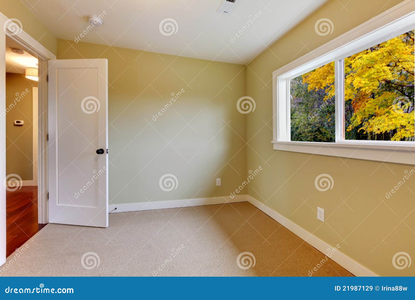 i wandered too deep.  Empty room, Yellow carpet, Home decor