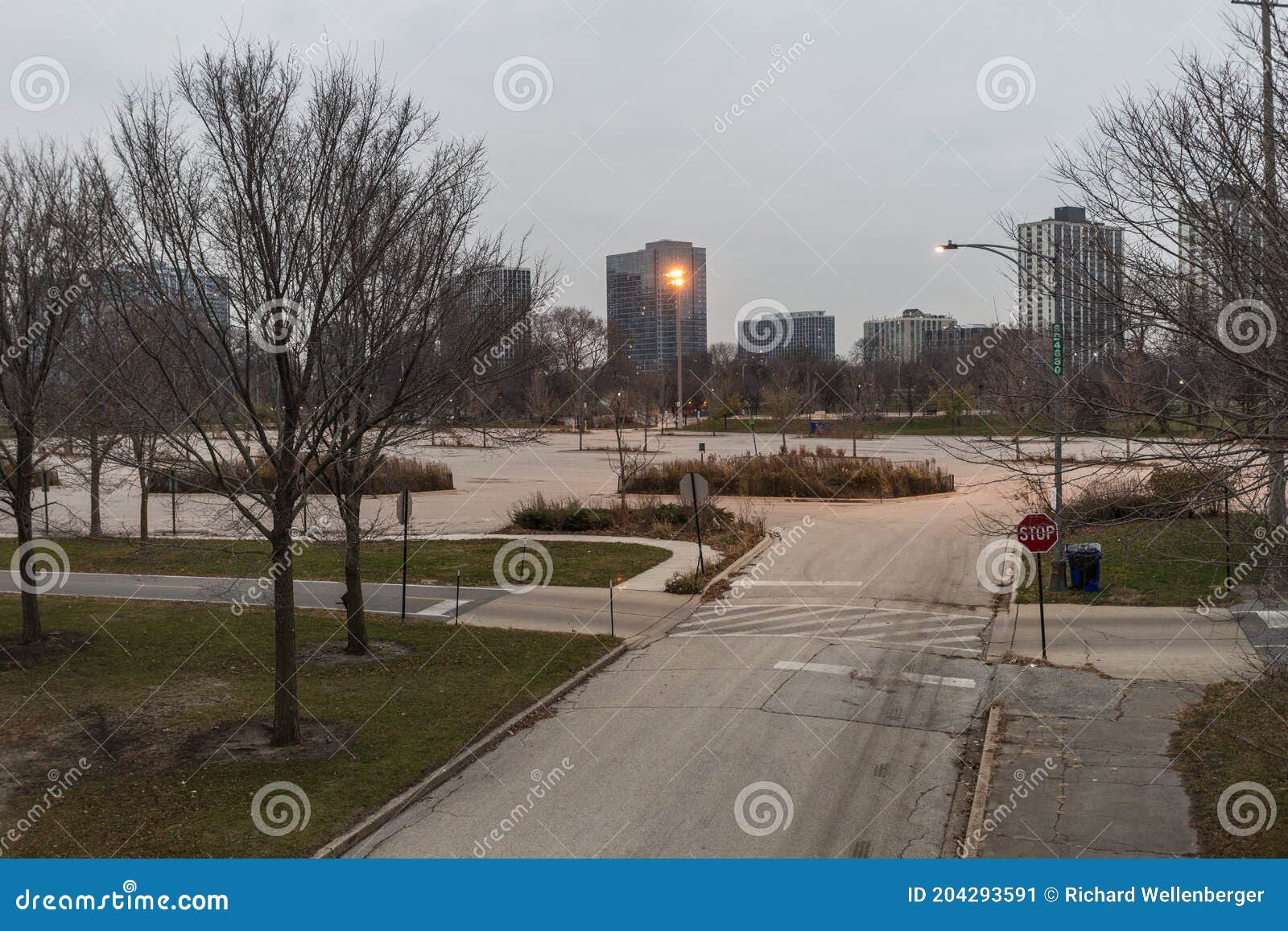 empty parking lot with barren trees and highrises in the background