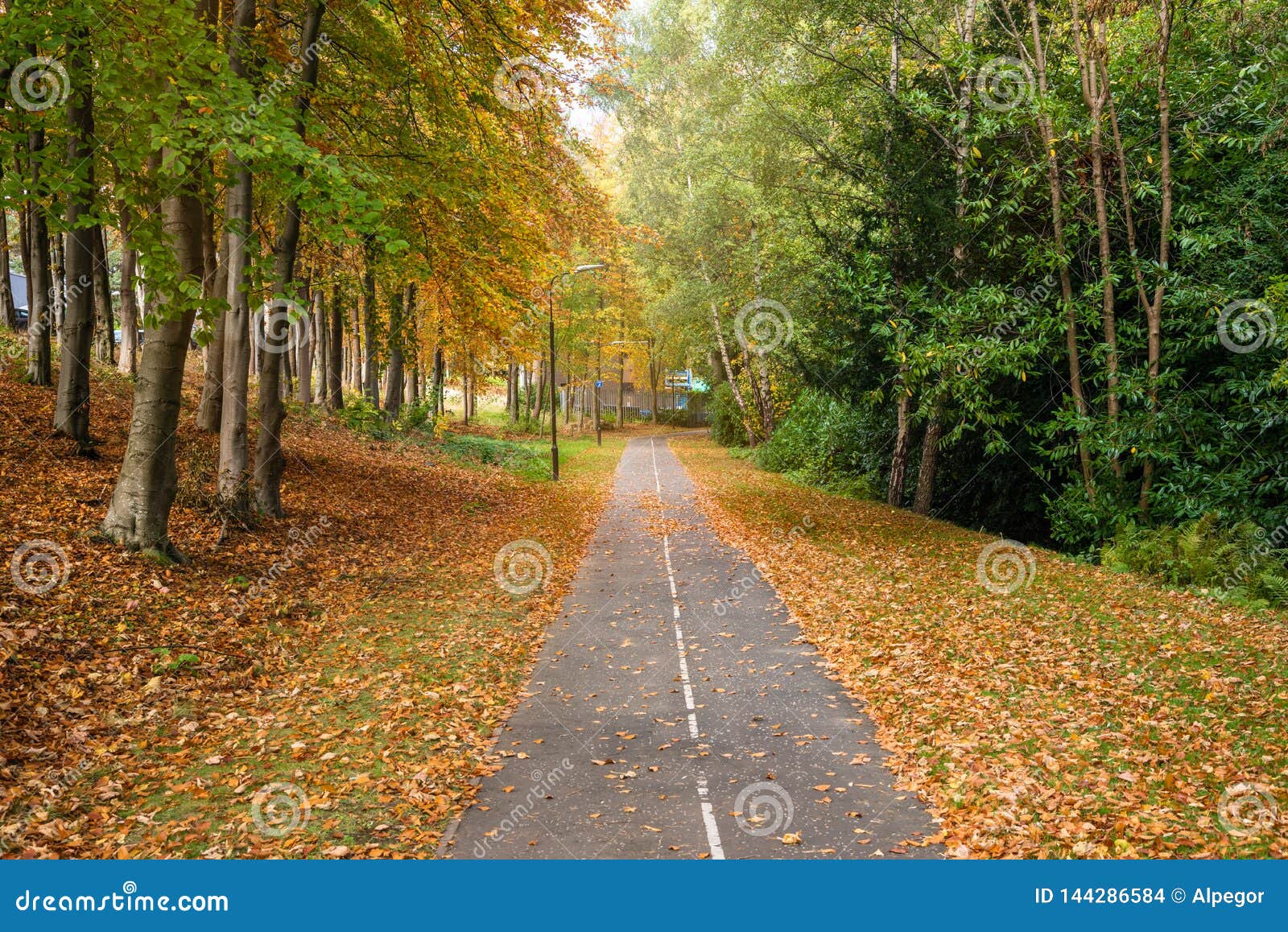 Empty Paved Path Partly Covered in Leaves in Autumn Stock Photo - Image ...