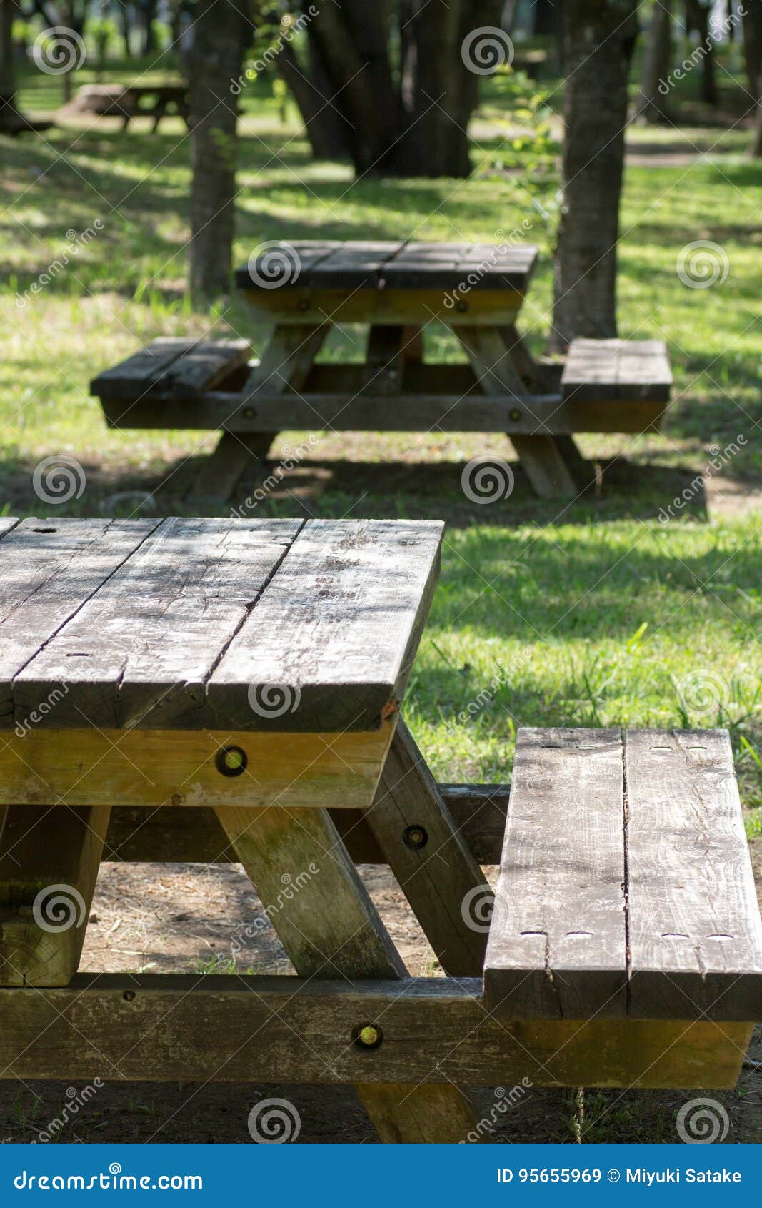 Empty Picnic Table in a Tranquil Park Stock Image - Image of outdoor ...