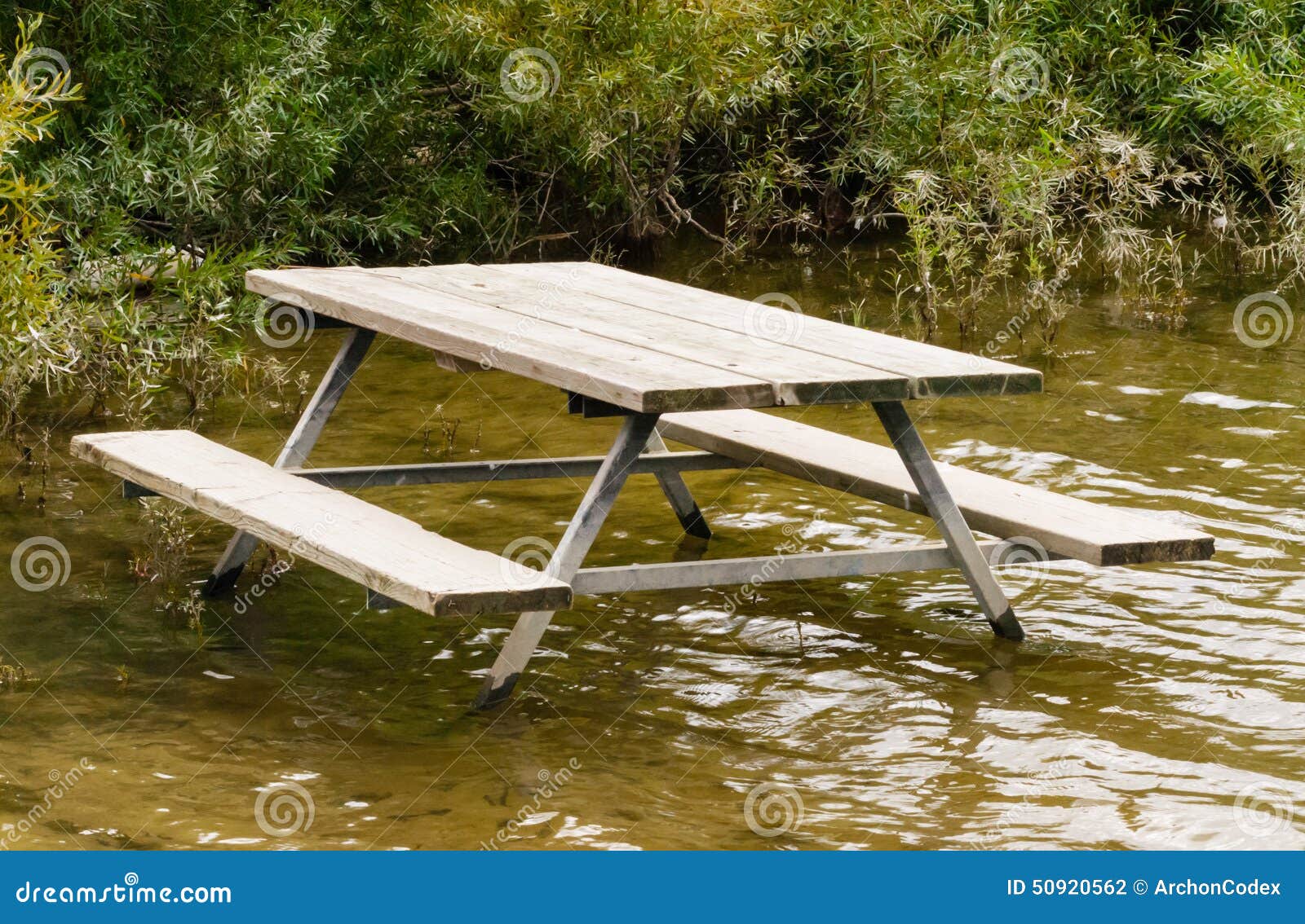 Empty Picnic Table in Water by Plants Stock Photo Image of outside