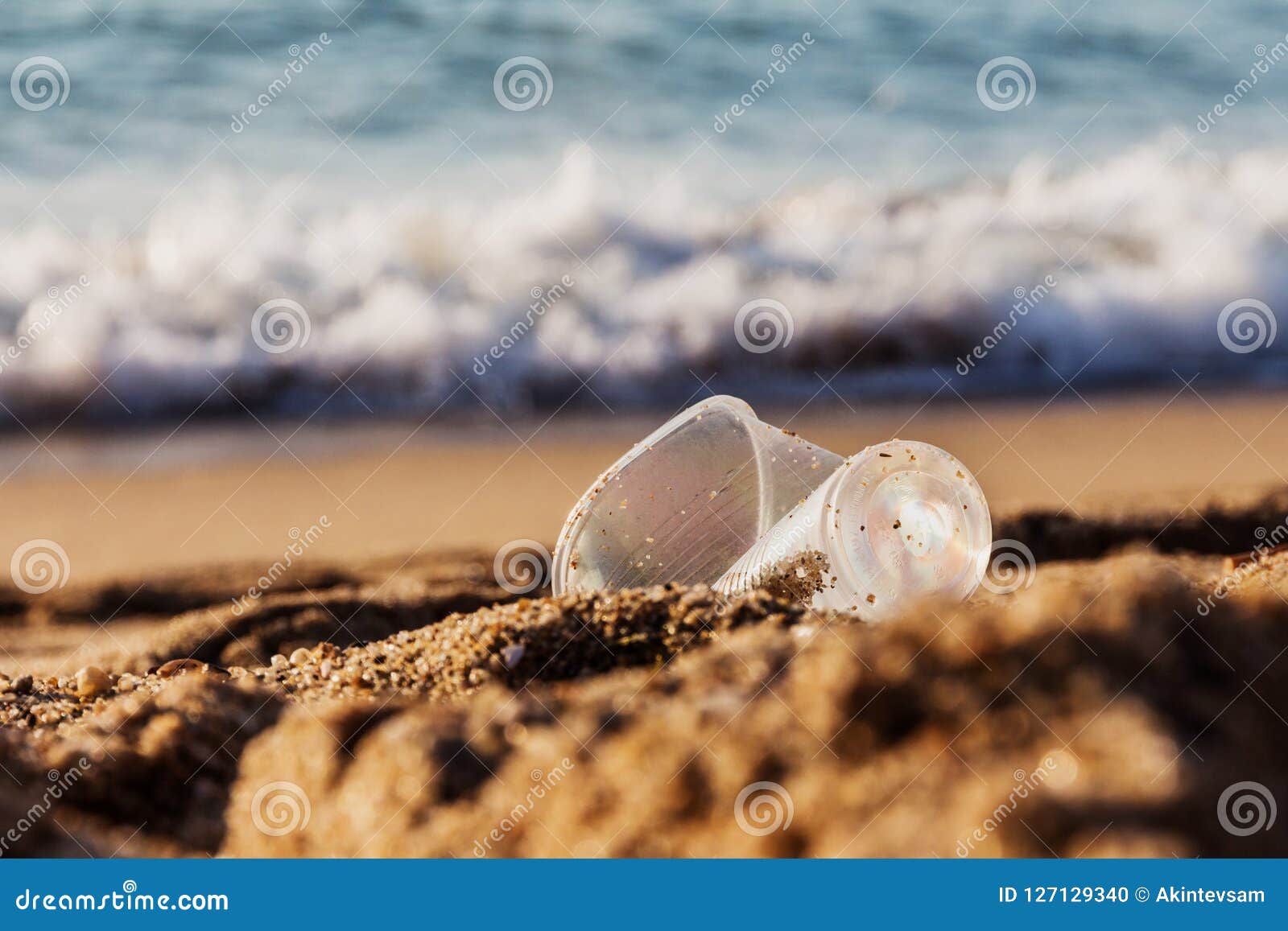 Empty Crumpled Plastic Glass on the Seashore Stock Photo Image of