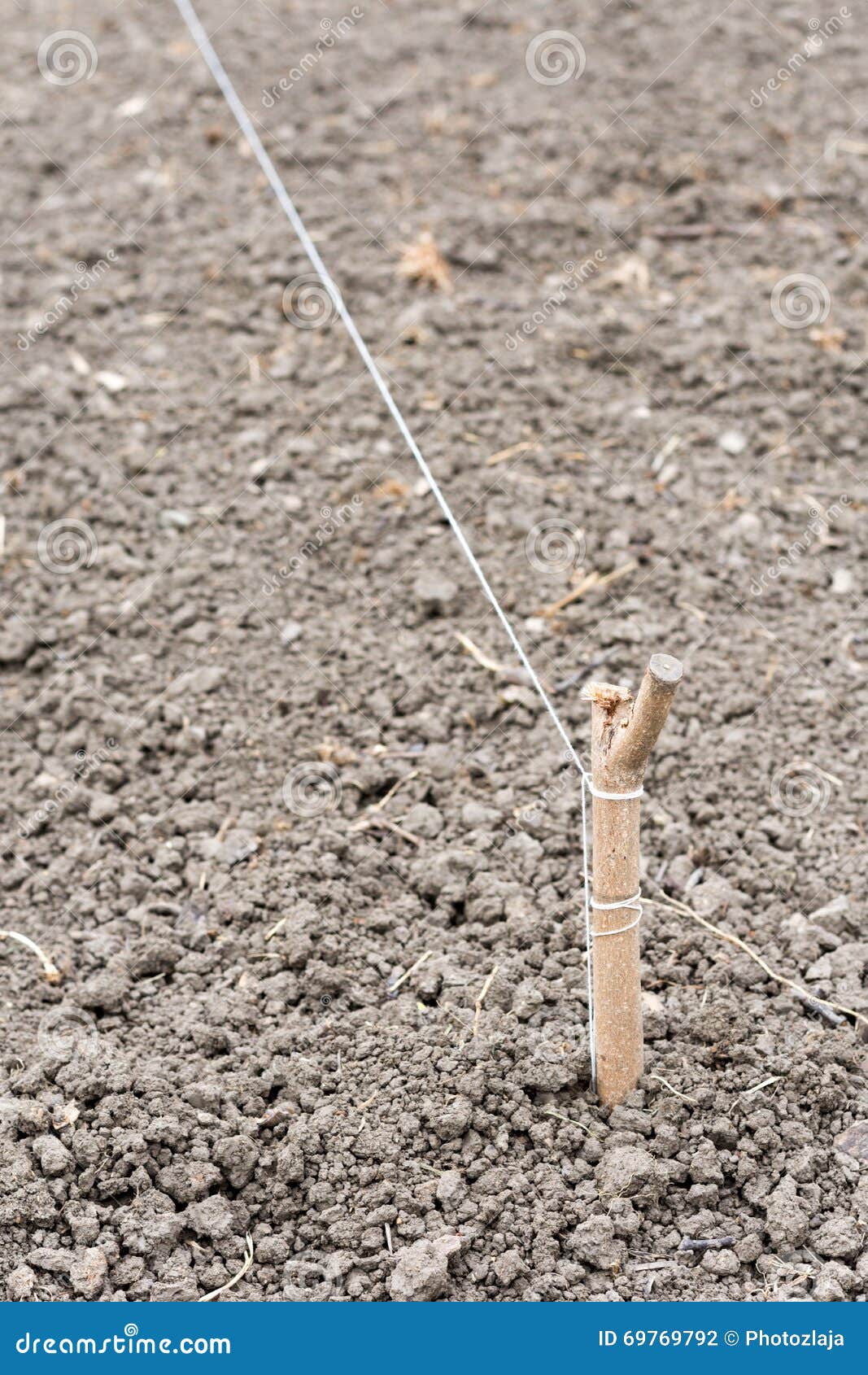 Empty and Plowed Flower Bed Land Soil Stock Photo Image of botany, flower 69769792