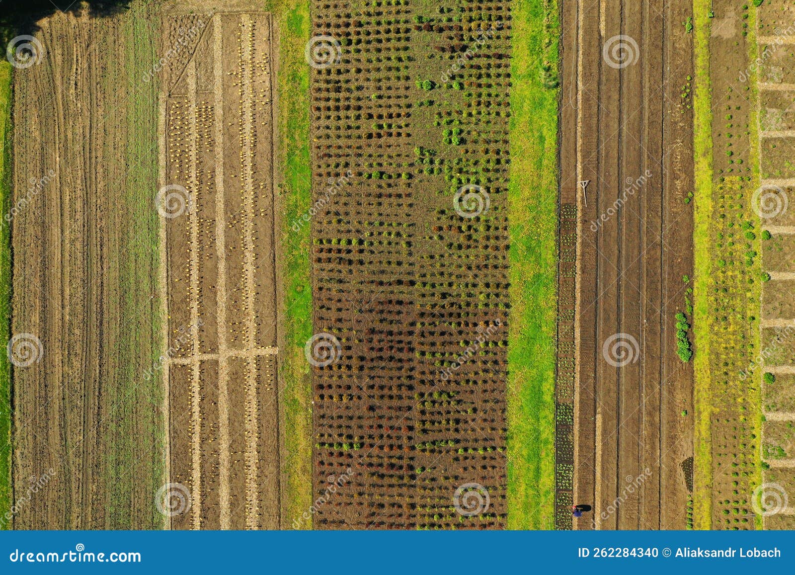 empty raised garden beds in the spring perid