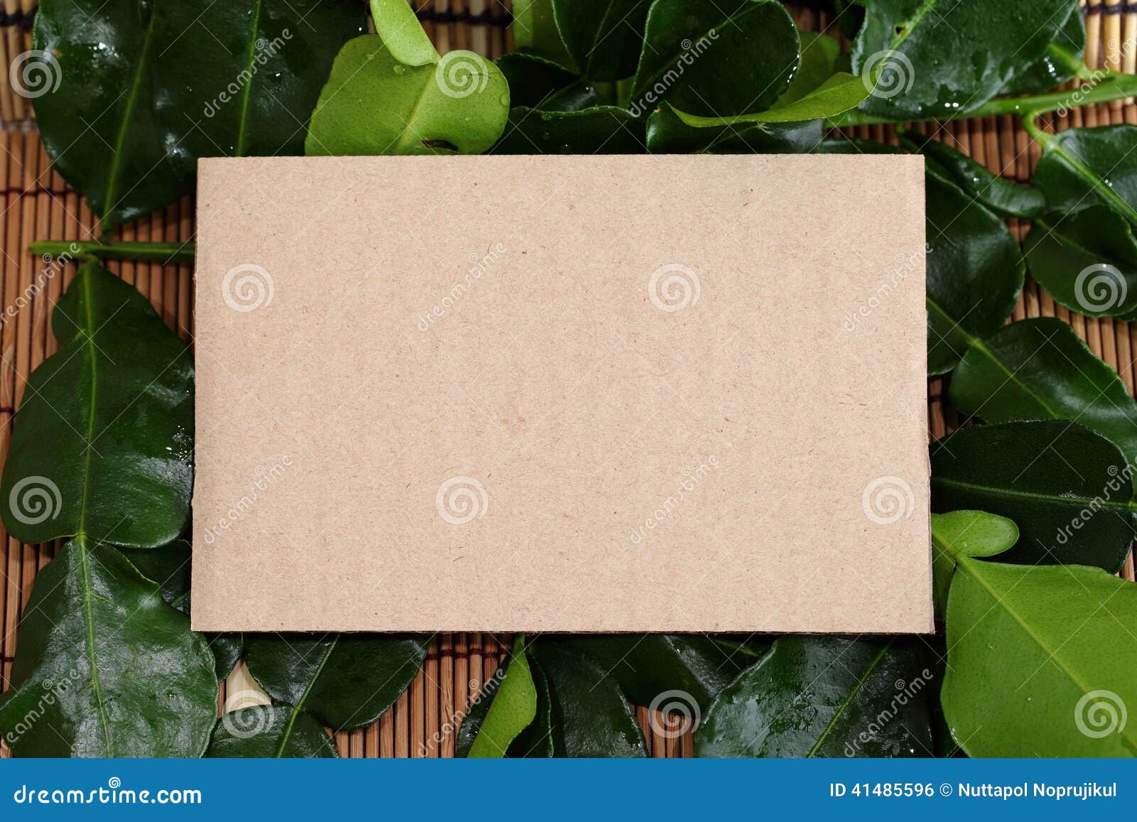 28,440 Brown Paper Bouquet Royalty-Free Images, Stock Photos & Pictures