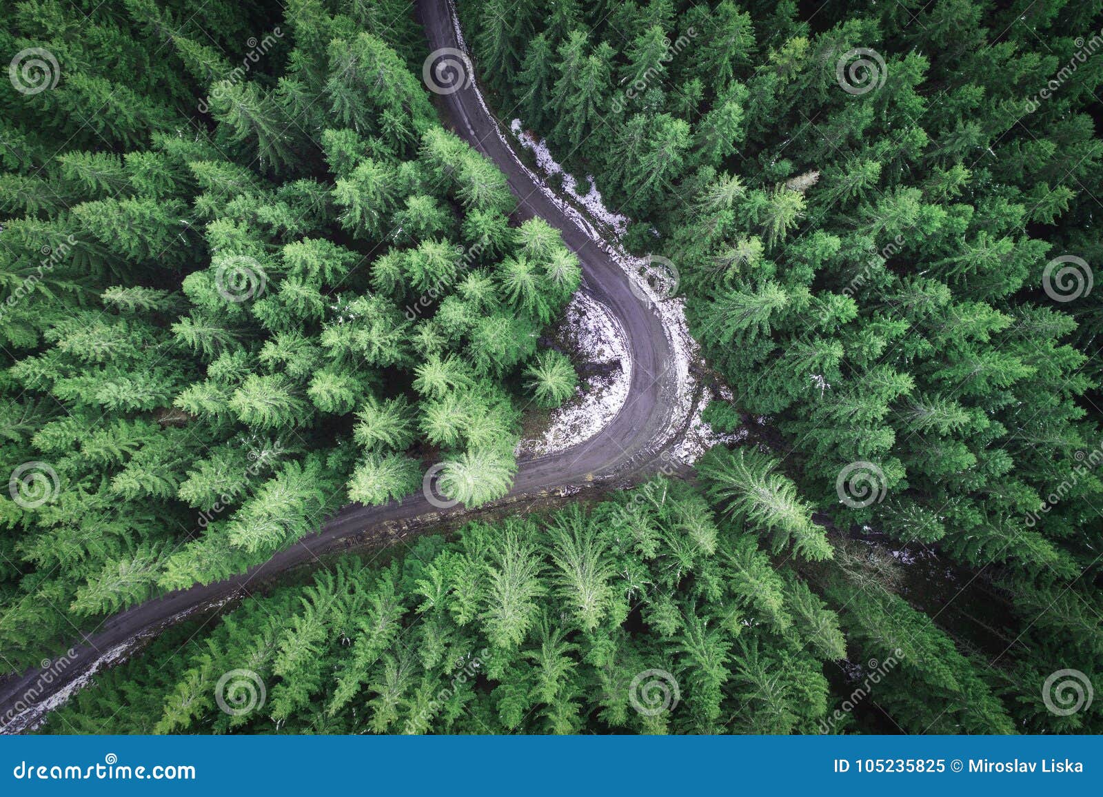 empty road in a forest from a drone