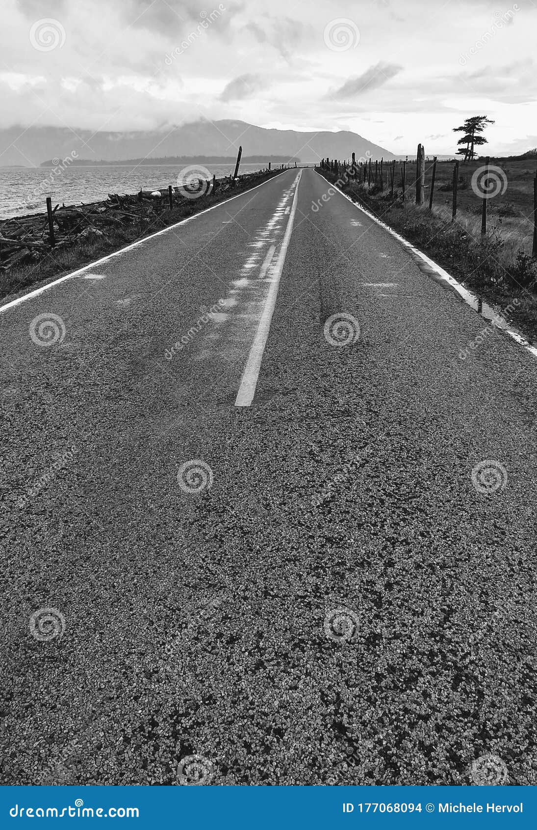 empty road on lummi island, wa