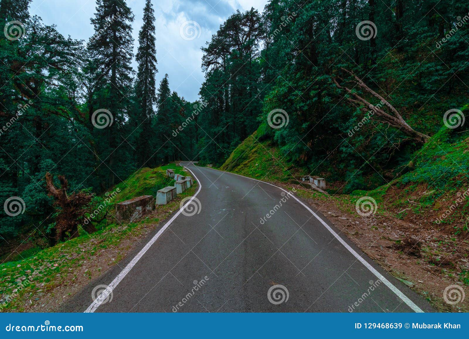 empty road to chopta, uttrakhand