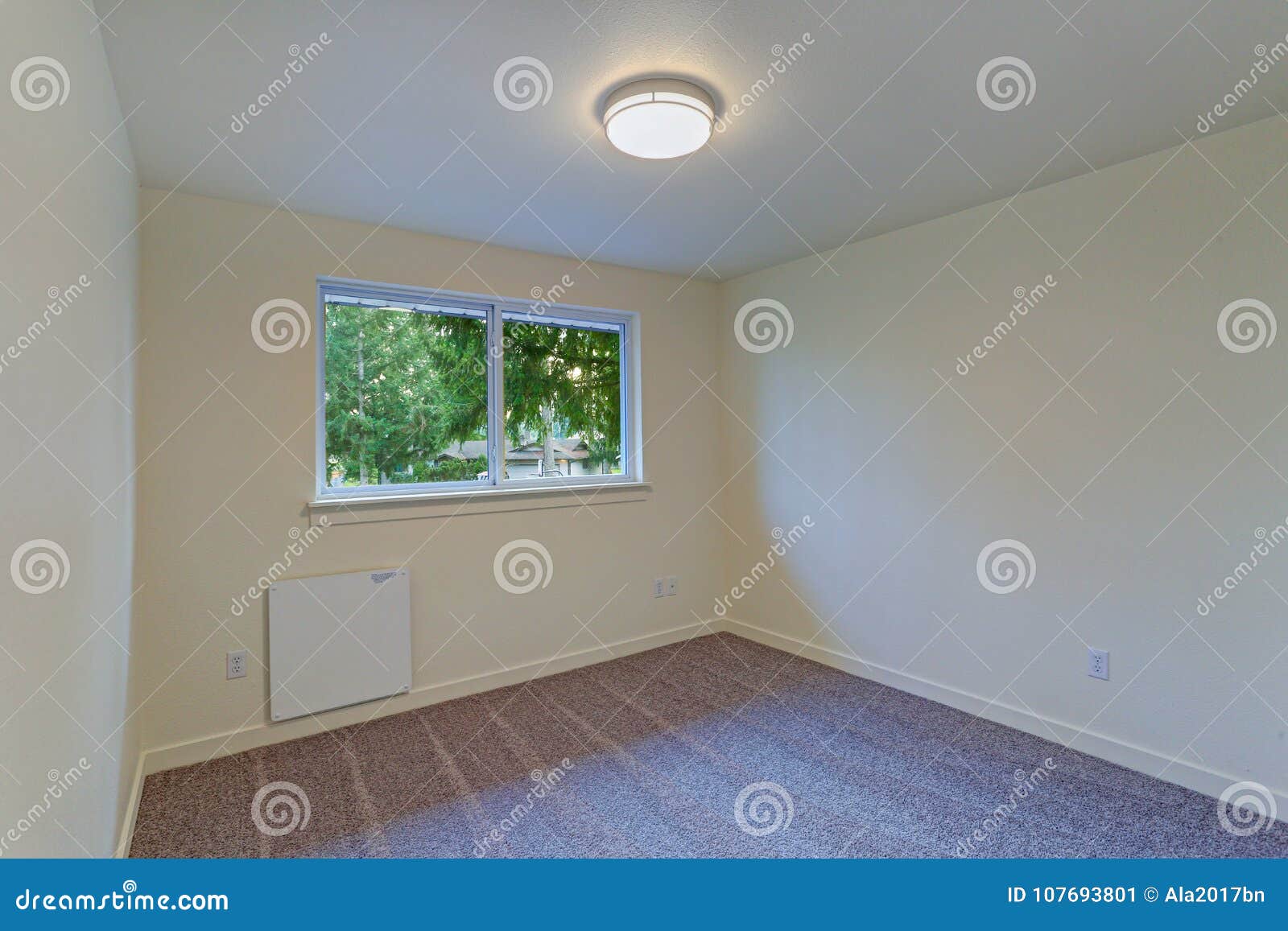 Empty Room Interior With Milky Walls And Carpet Floor Stock