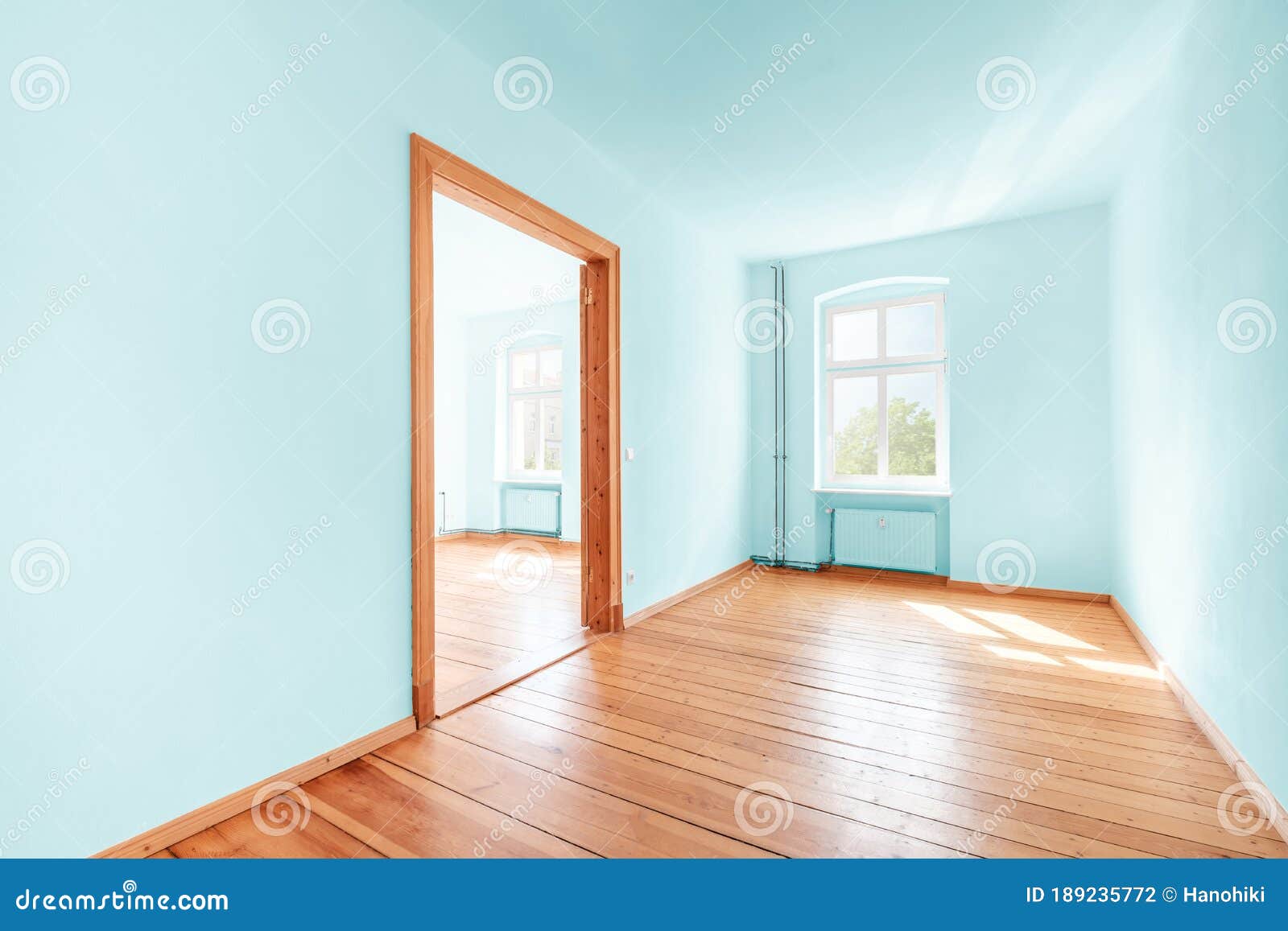 Empty Room in Renovated Flat with Green Painted Walls Stock Photo