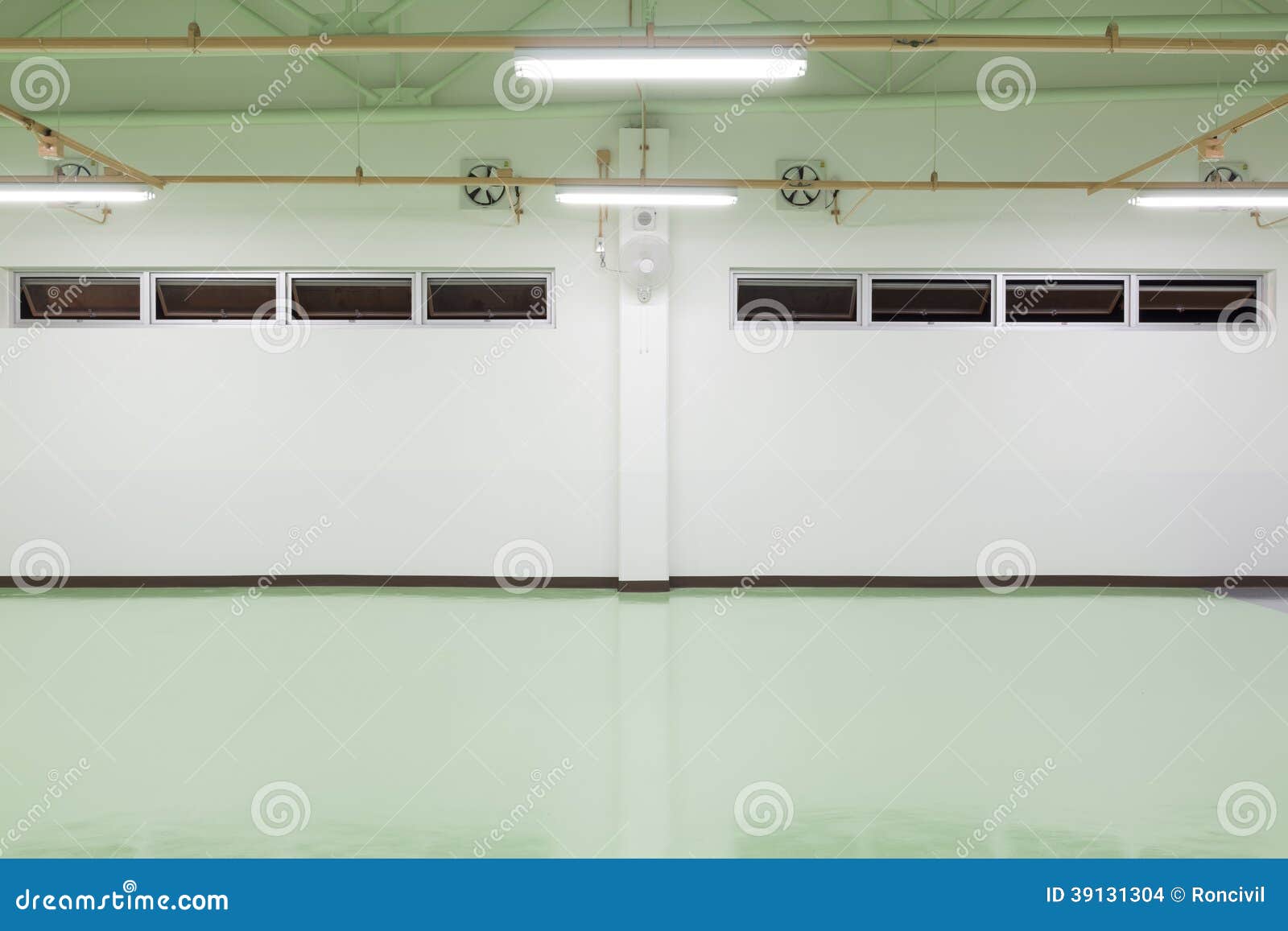Empty room , white wall and green concrete floor and window background.