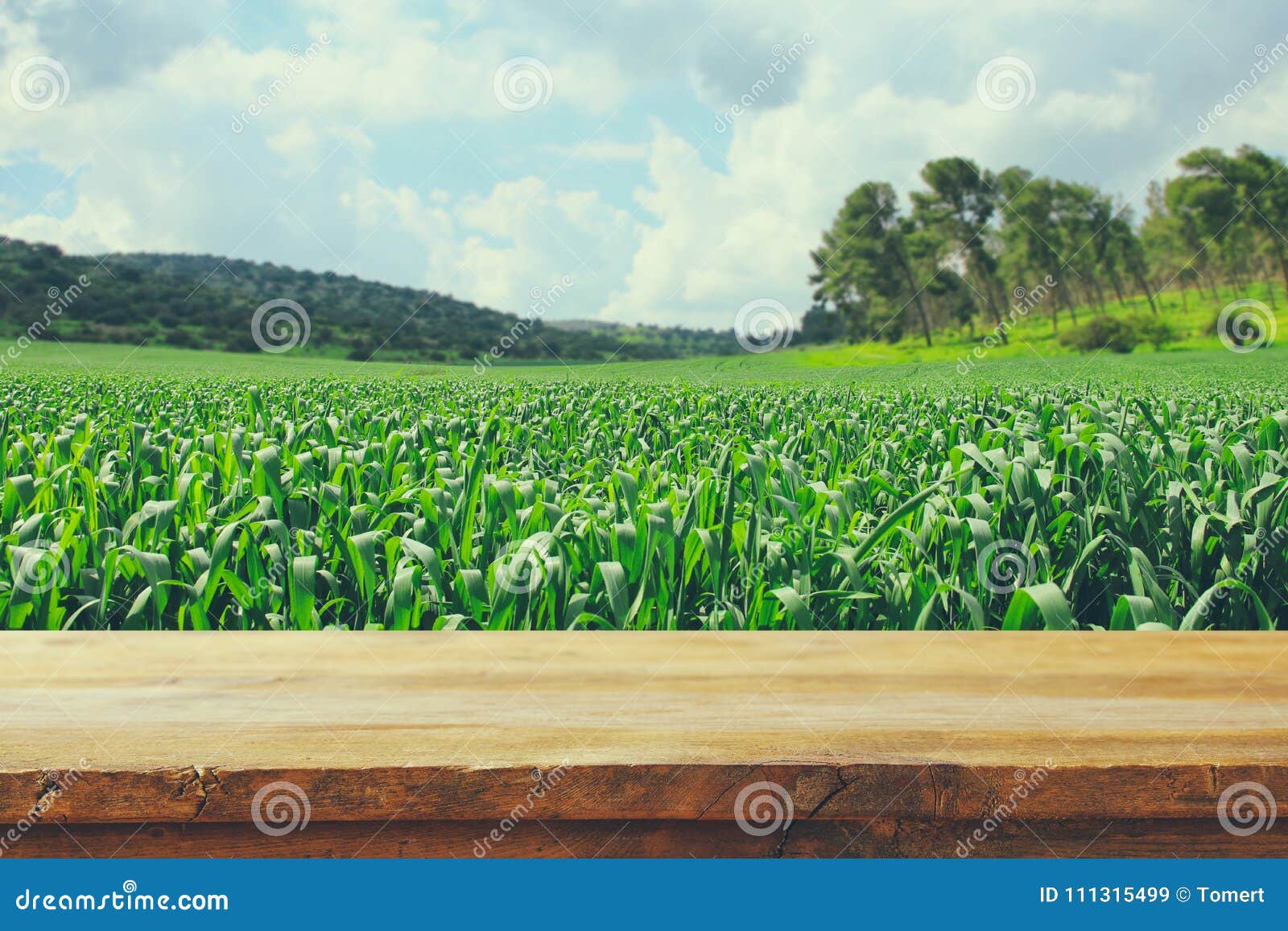 empty rustic table in front of countryside background. product display and picnic concept.