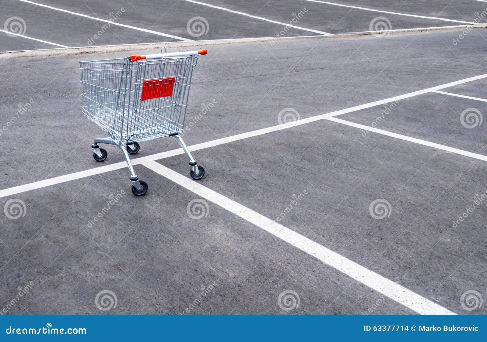 Empty Shopping Carts on a Empty Parking Lot Stock Photo Image of back