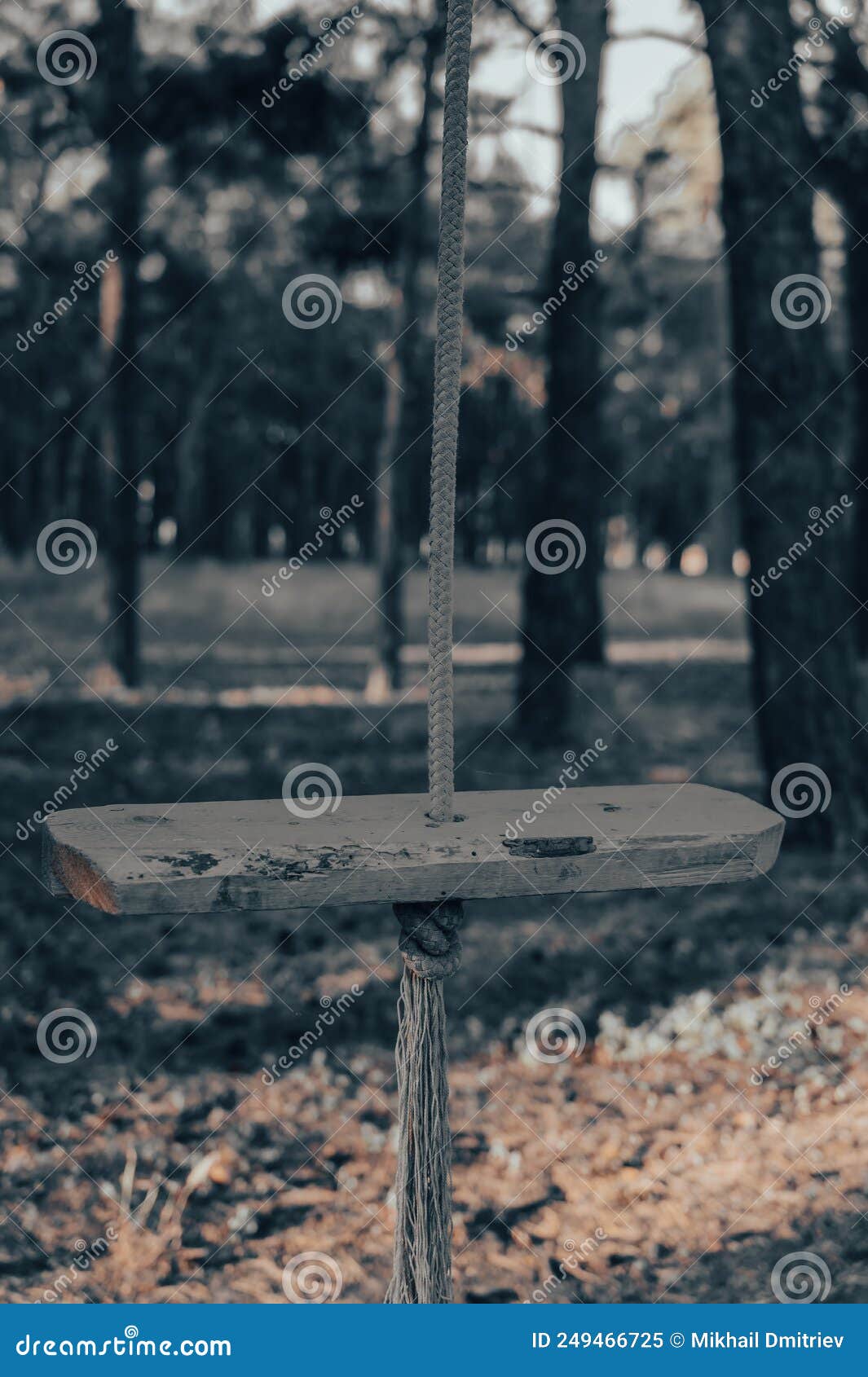 Empty Single-rope Swing on a Rope. Wooden Swing and Rope with a Knot.  Close-up Stock Image - Image of lonely, wood: 249466725