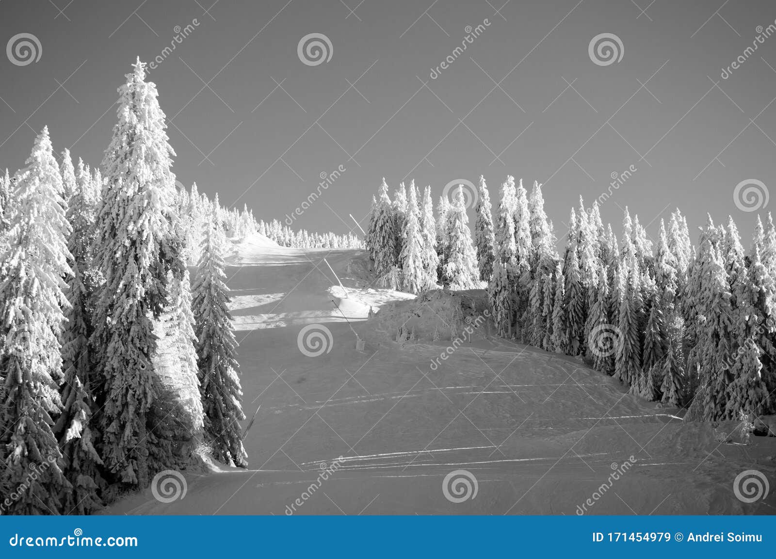 Empty Ski Slope Shot in Black and White Stock Image Image of slope