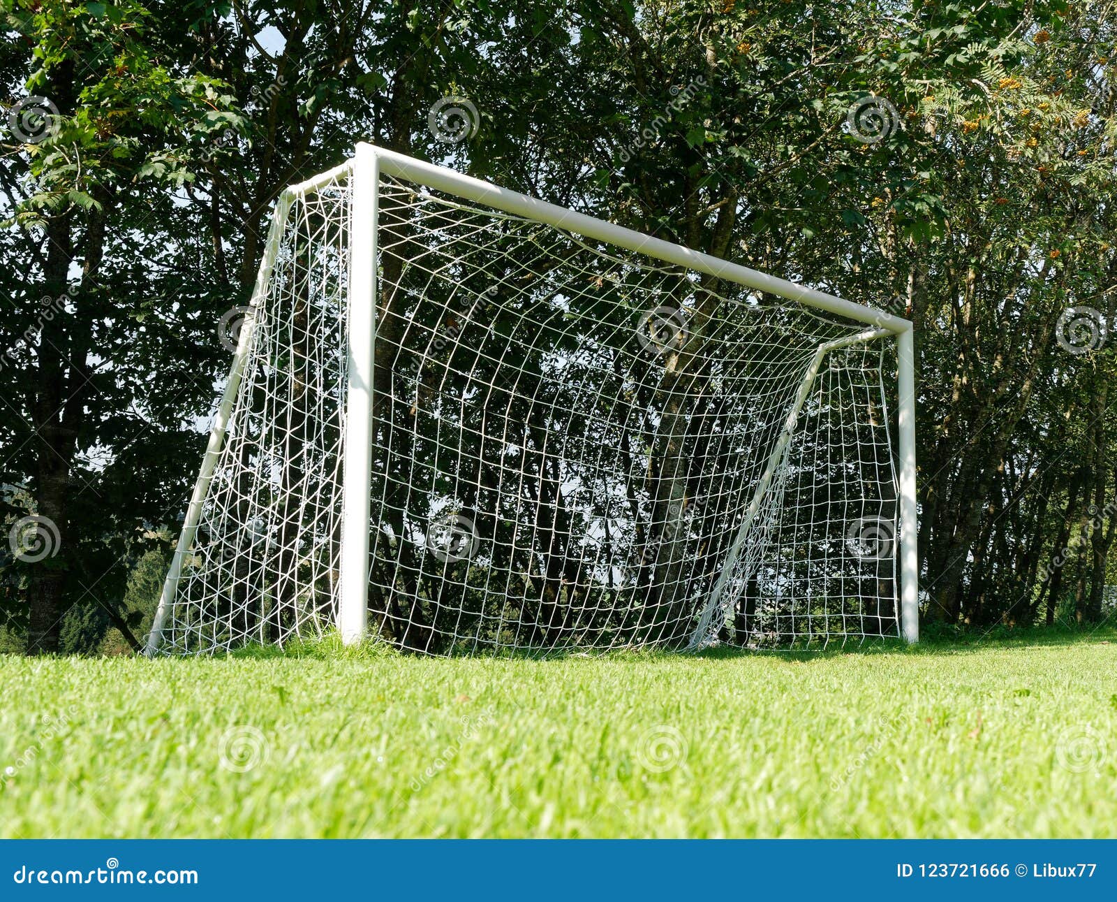 Empty soccer goal outdoor stock photo. Image of football 123721666
