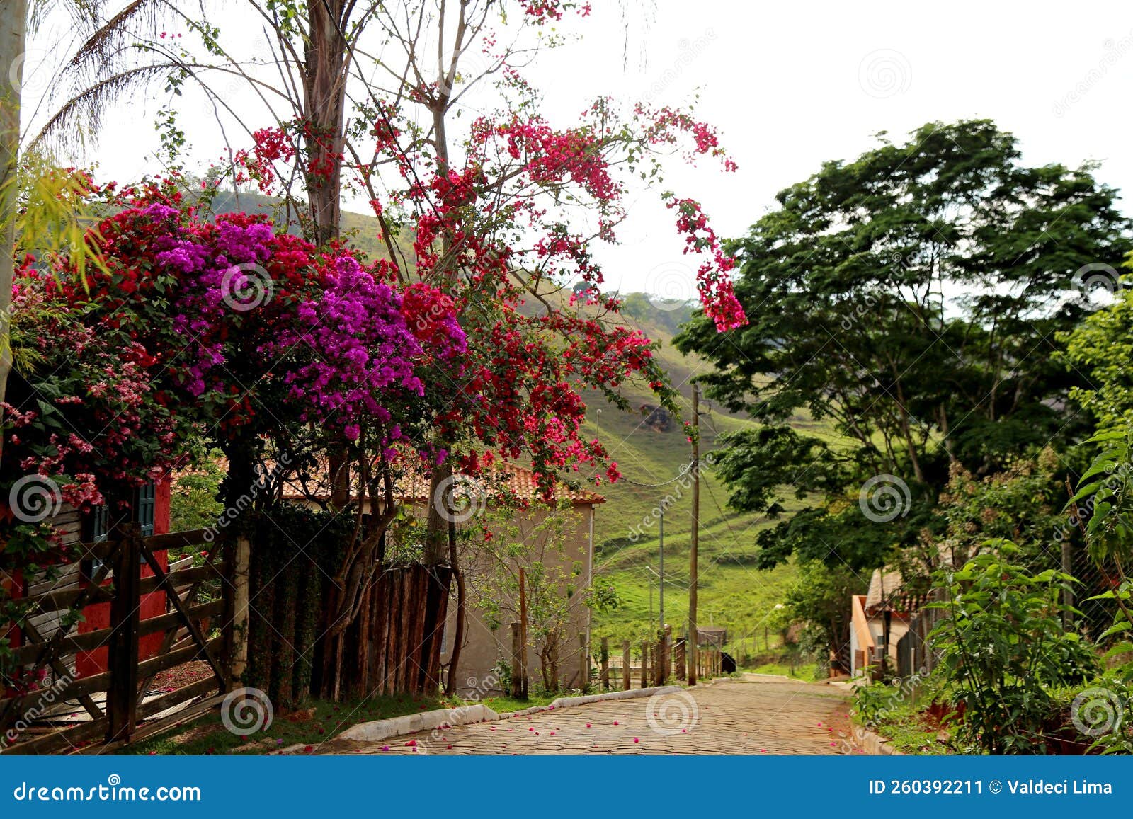 one street of cabeÃÂ§a de boi village in minas gerais