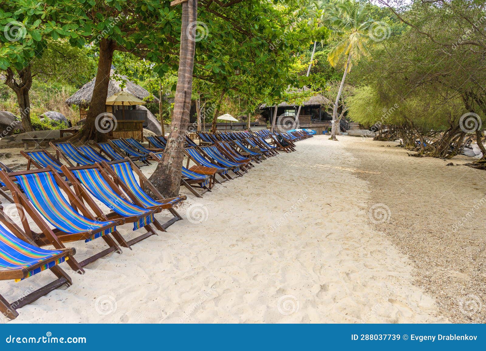 empty sunbeds in row on seclude tropical sandy beach