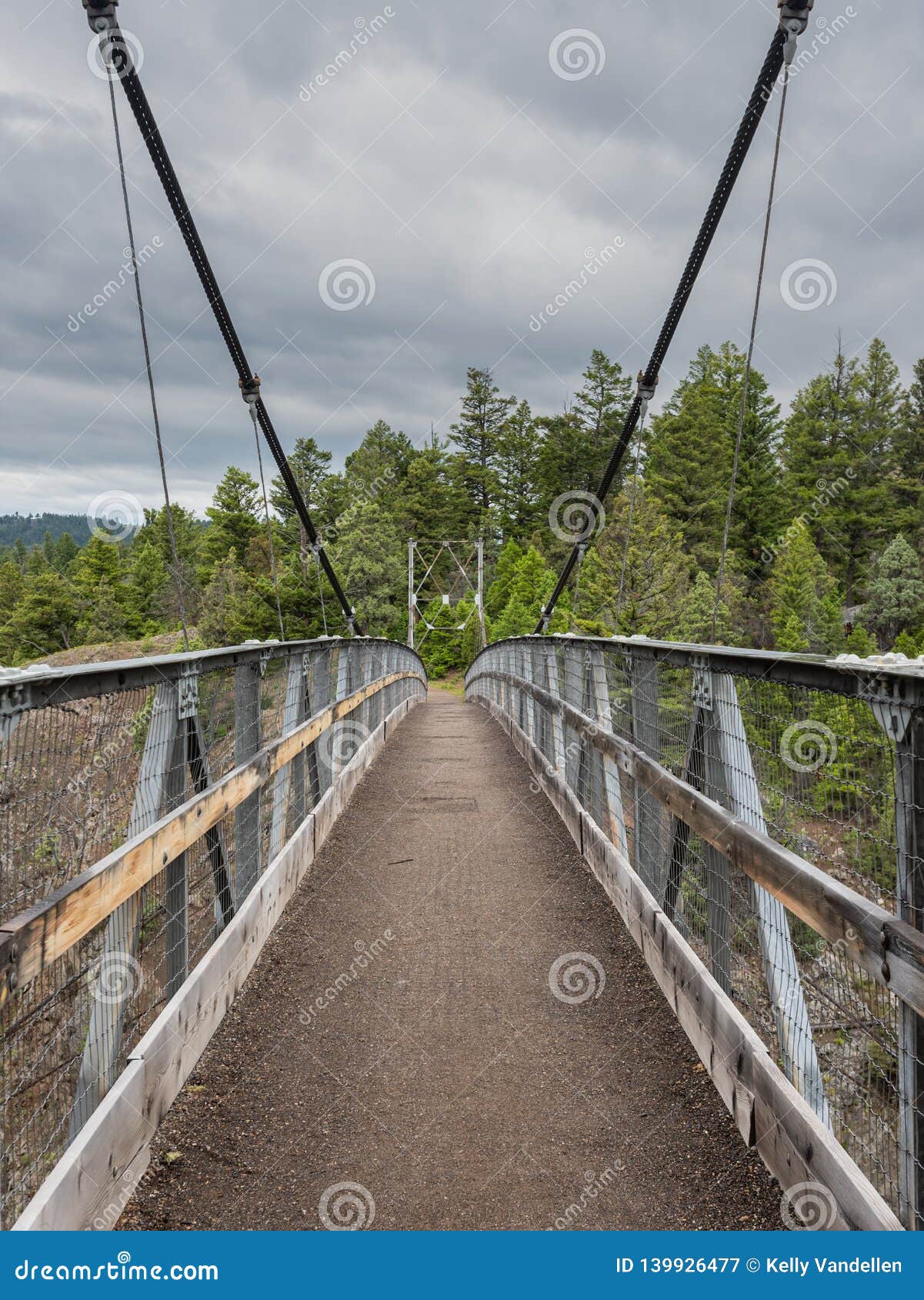 Empty Suspension Bridge stock image. Image of trees 139926477