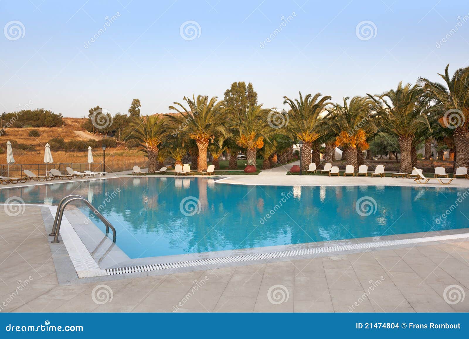empty swimmingpool with palmtrees