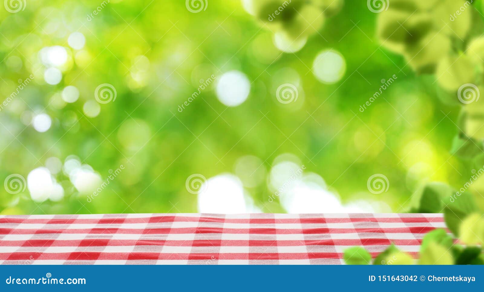 Empty Table With Checkered Napkin Outdoors. Summer Picnic