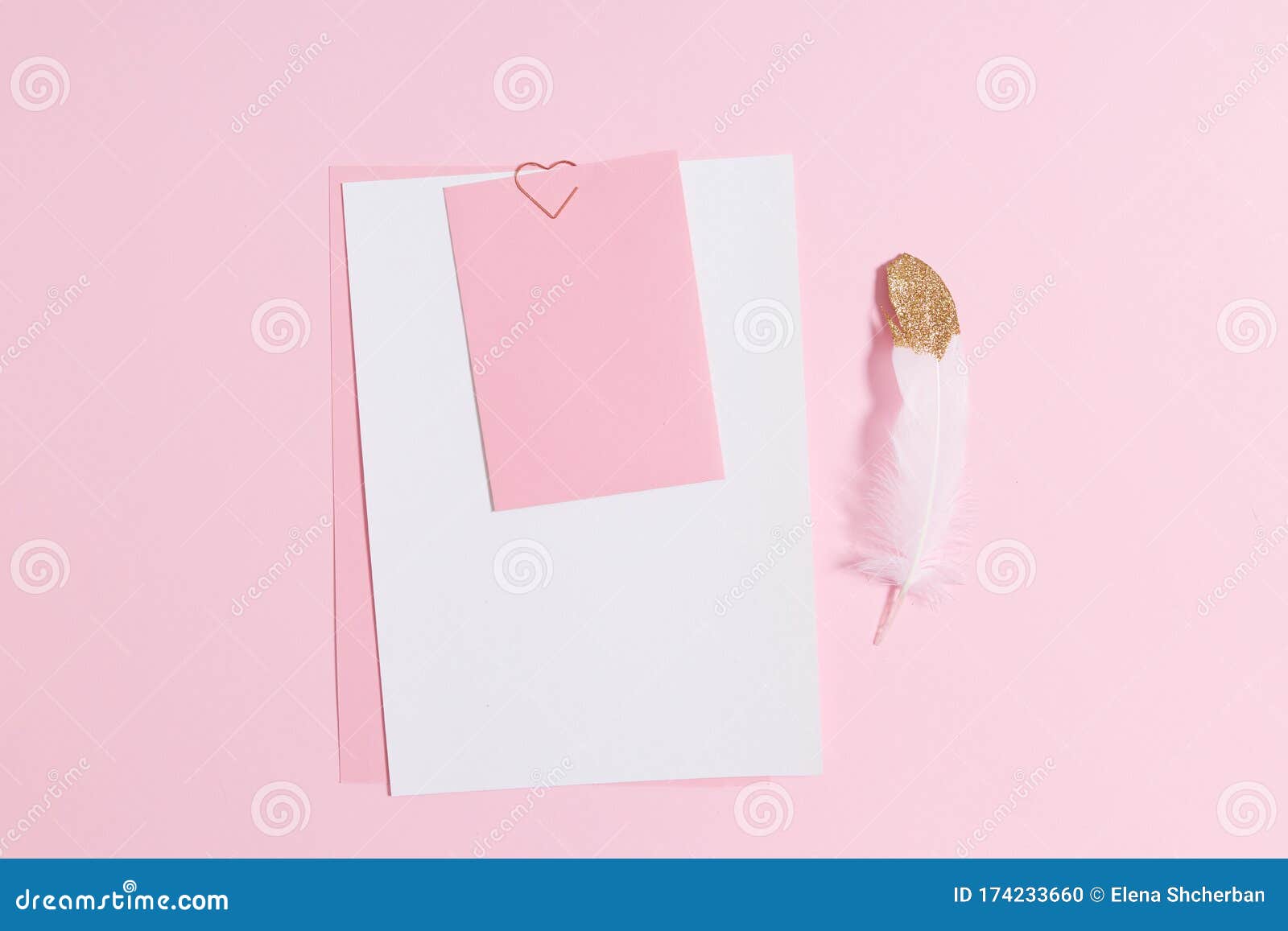 empty template for romantic letters on a pink background. white feather with gold plating. real photo, flat lay.