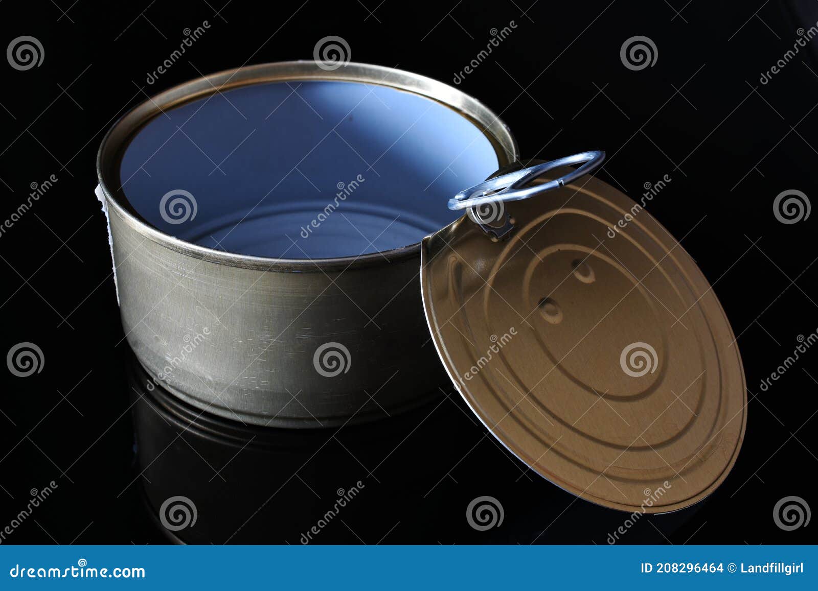 Empty Tin Can and Lid stock photo. Image of goods, environment 208296464