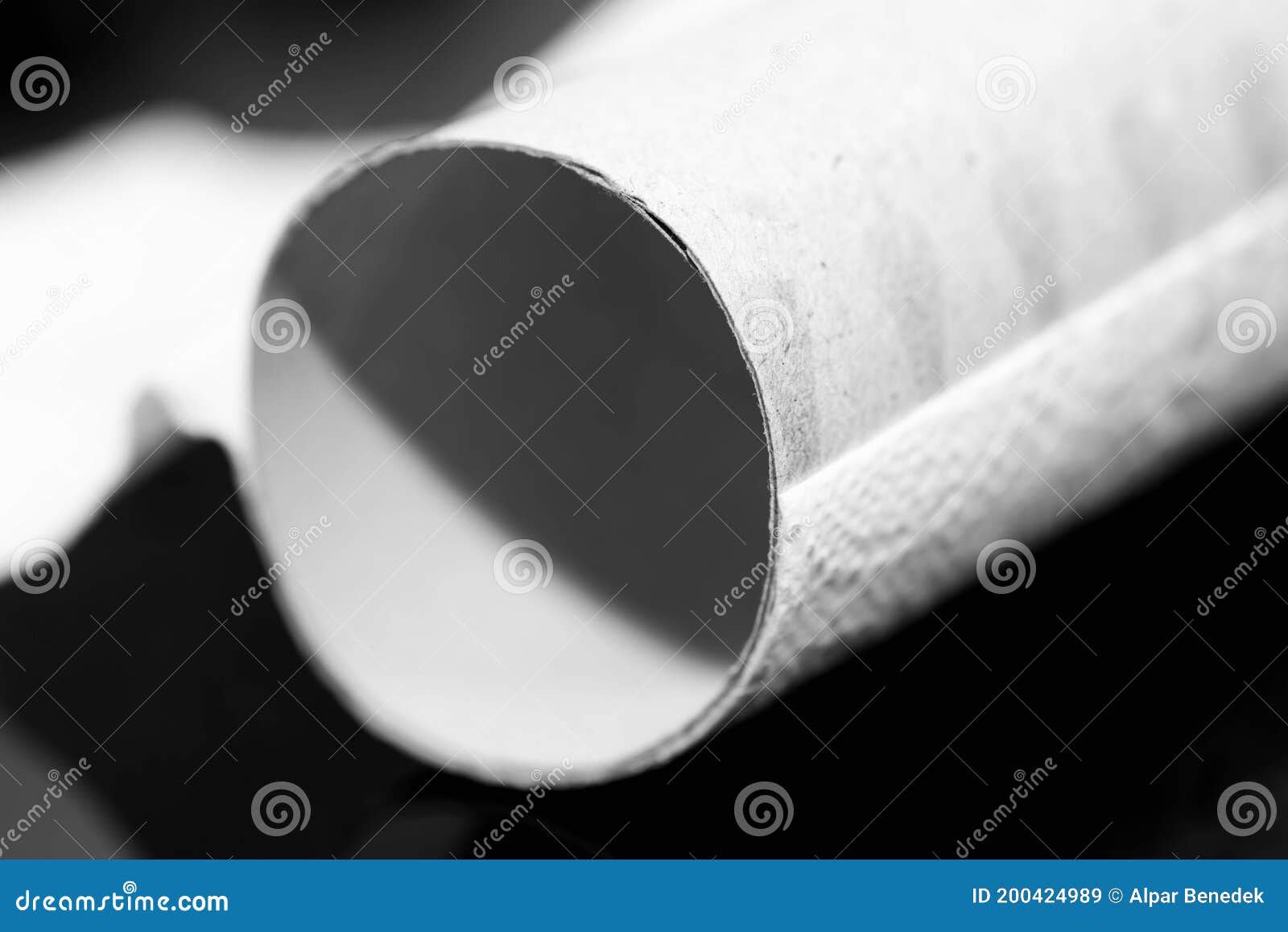 empty toilet paper carboard roll close up macro shot on dark background