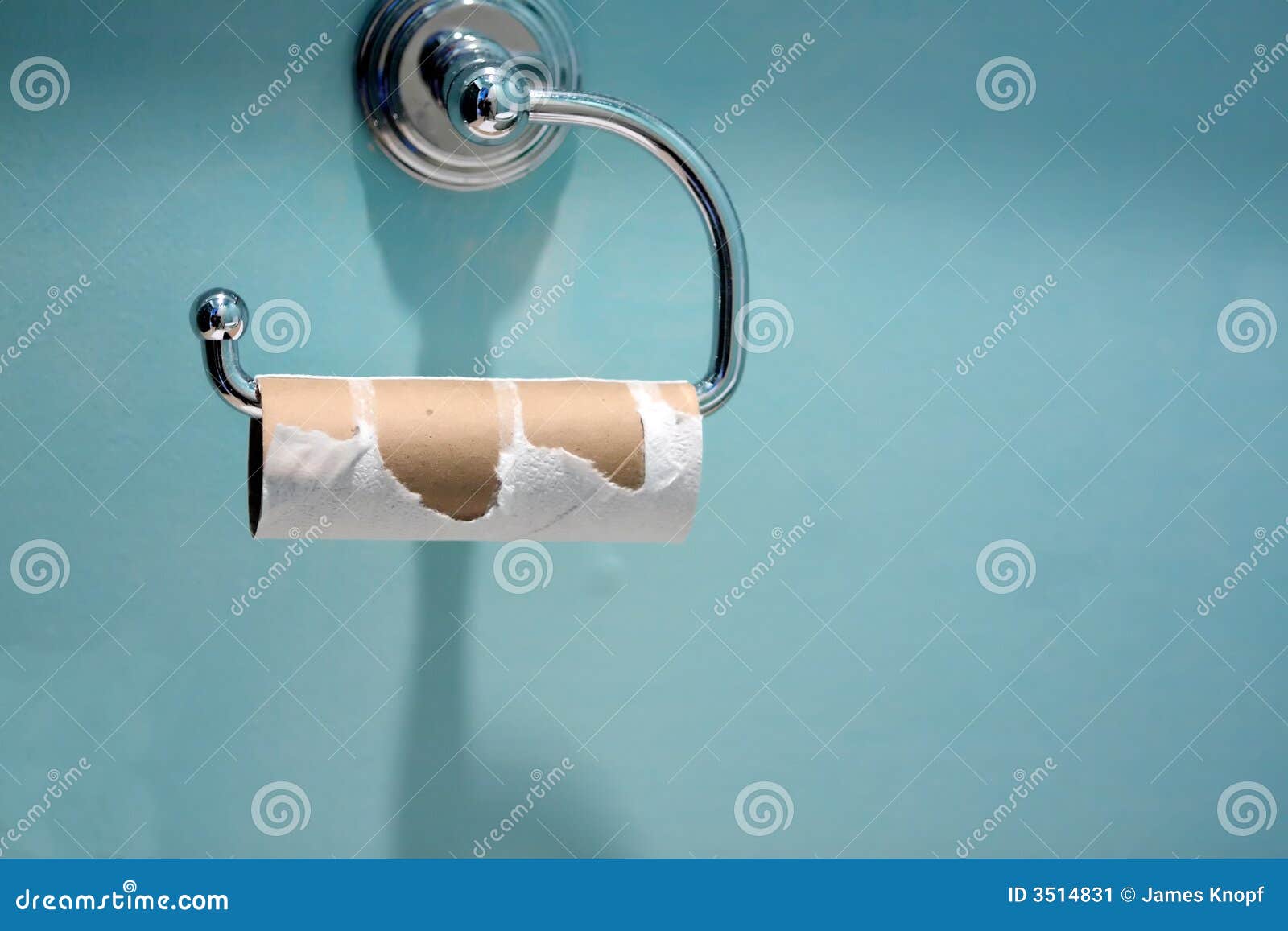 empty toilet paper roll