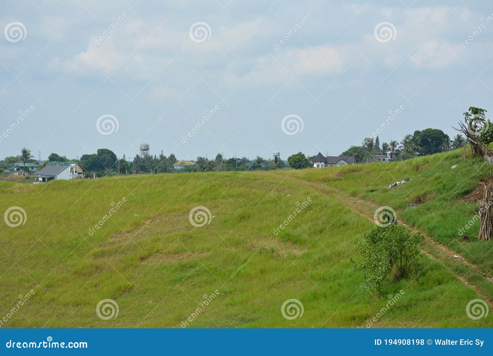 empty-vacant-lot-with-grass-and-trees-view-during-daytime-stock-photo