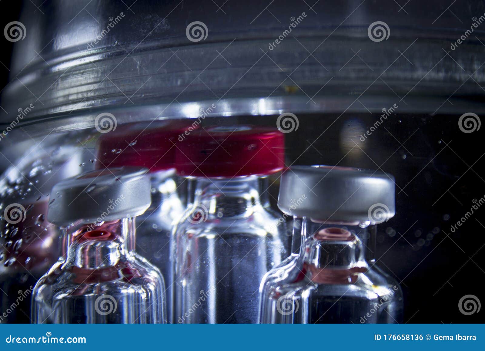 Empty medicine vials stock photo. Image of science, injection 176658136