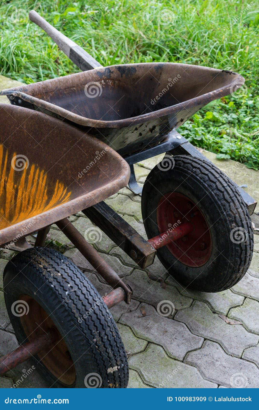 Empty Wheelbarrow for Gardening and Construction Work Stock Image
