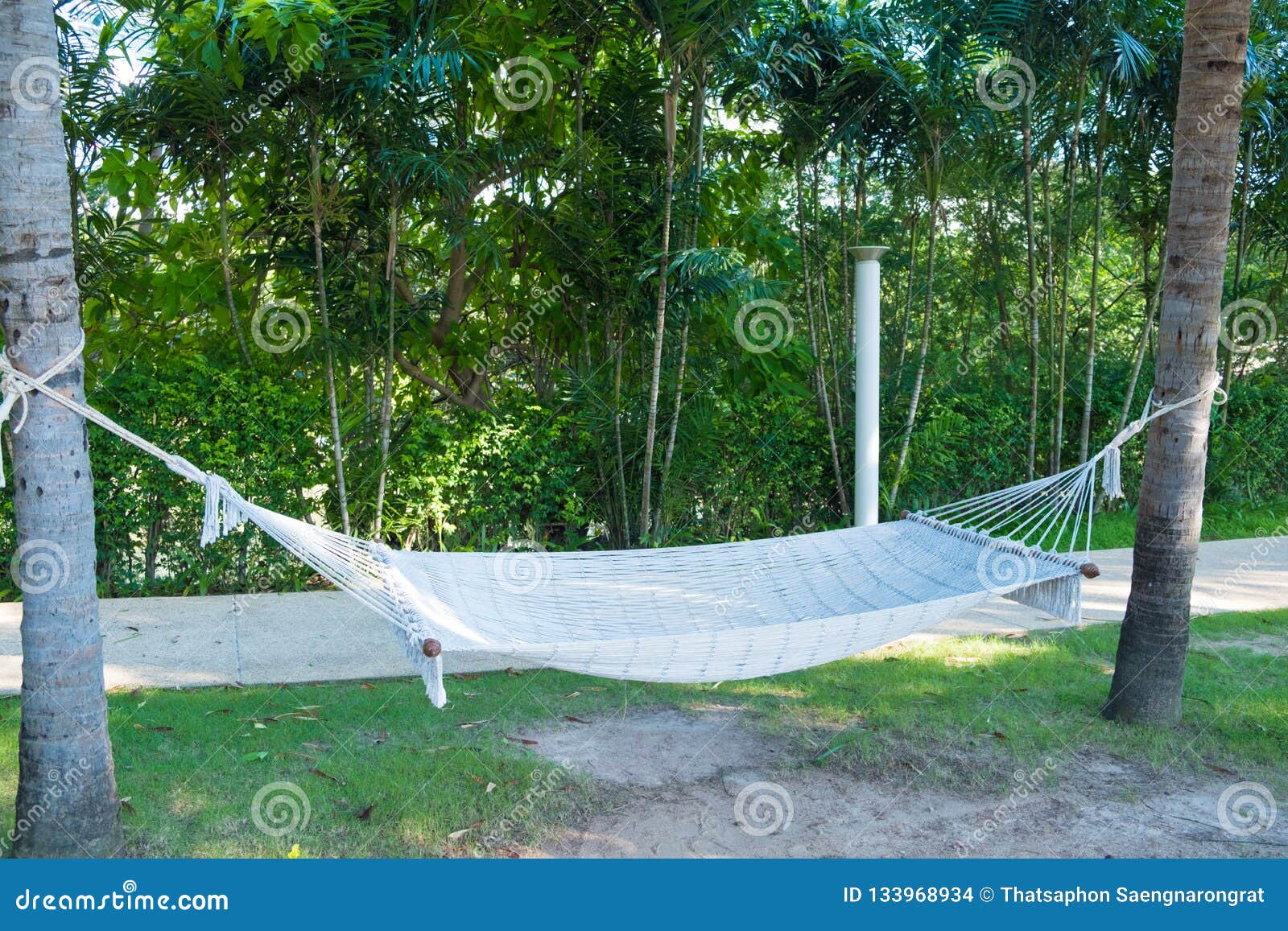 Bed hanging between two trees hotsell