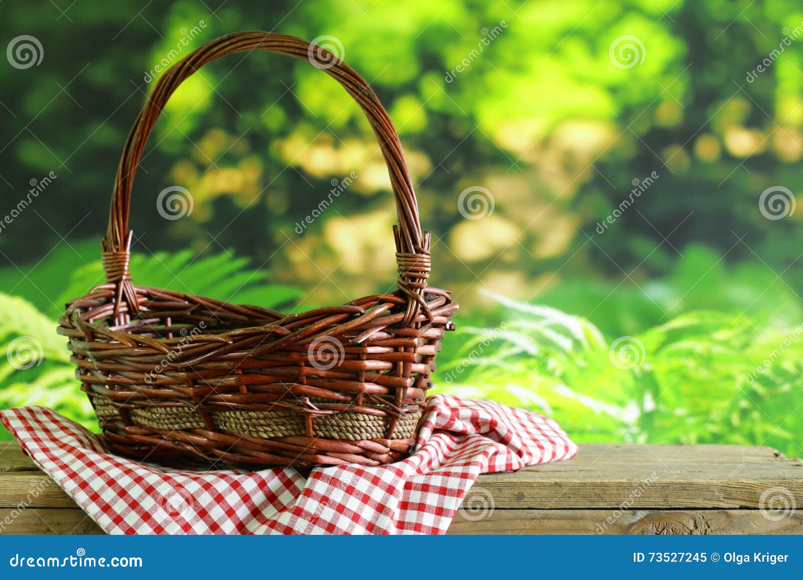 Empty Wicker Basket and Plaid for Picnic Stock Image Image of vacation, green 73527245