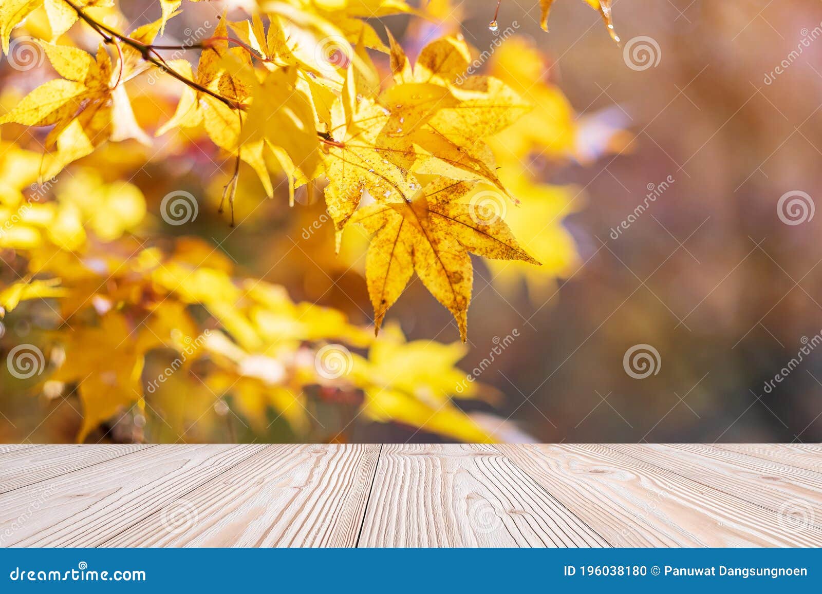 Download Empty Wood Table Mockup On Yellow Maple Leaves Background ...