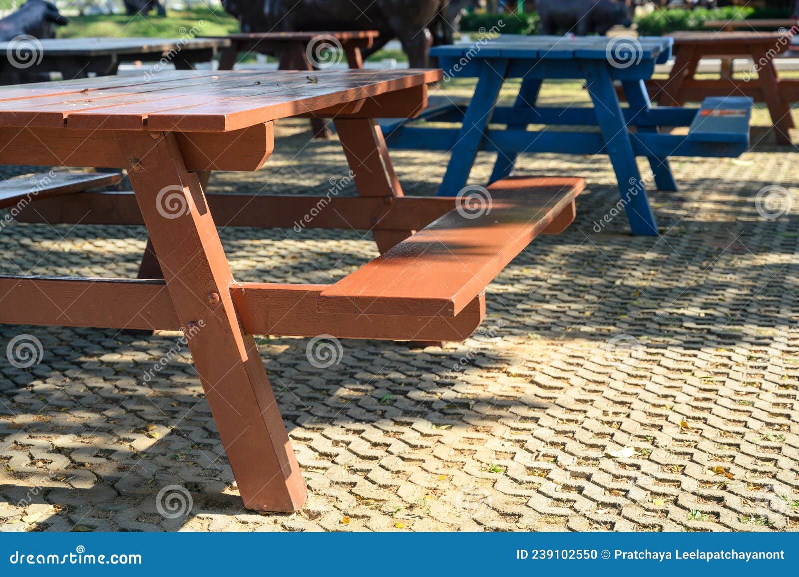 Empty Wooden Picnic Tables in Public Park Stock Photo Image of garden