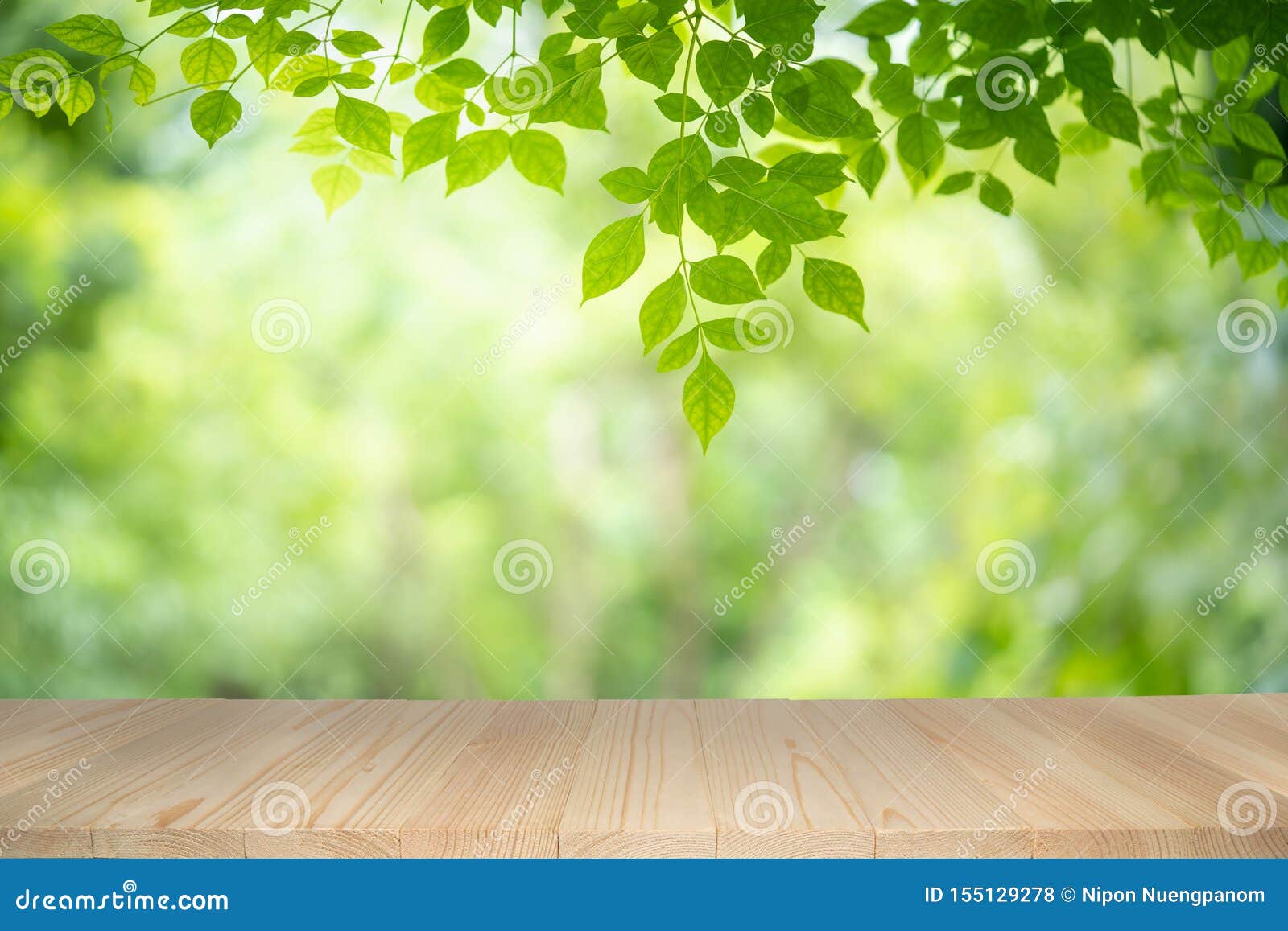 Empty Wooden Table on Green Nature Background with Beauty Bokeh ...