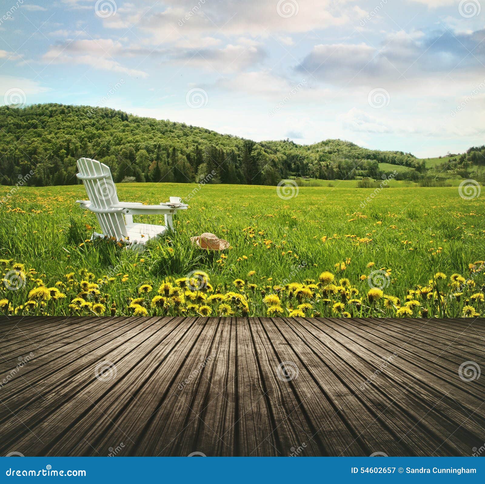 Empty Wooden Table Top in Open Fields of Dandelions Stock Image Image