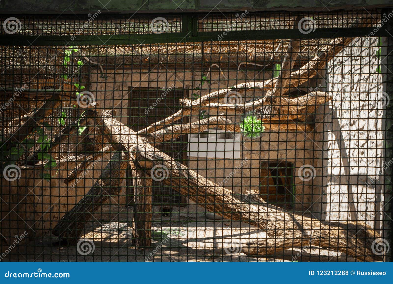 Empty zoo cage stock photo. Image of closed, prison 123212288