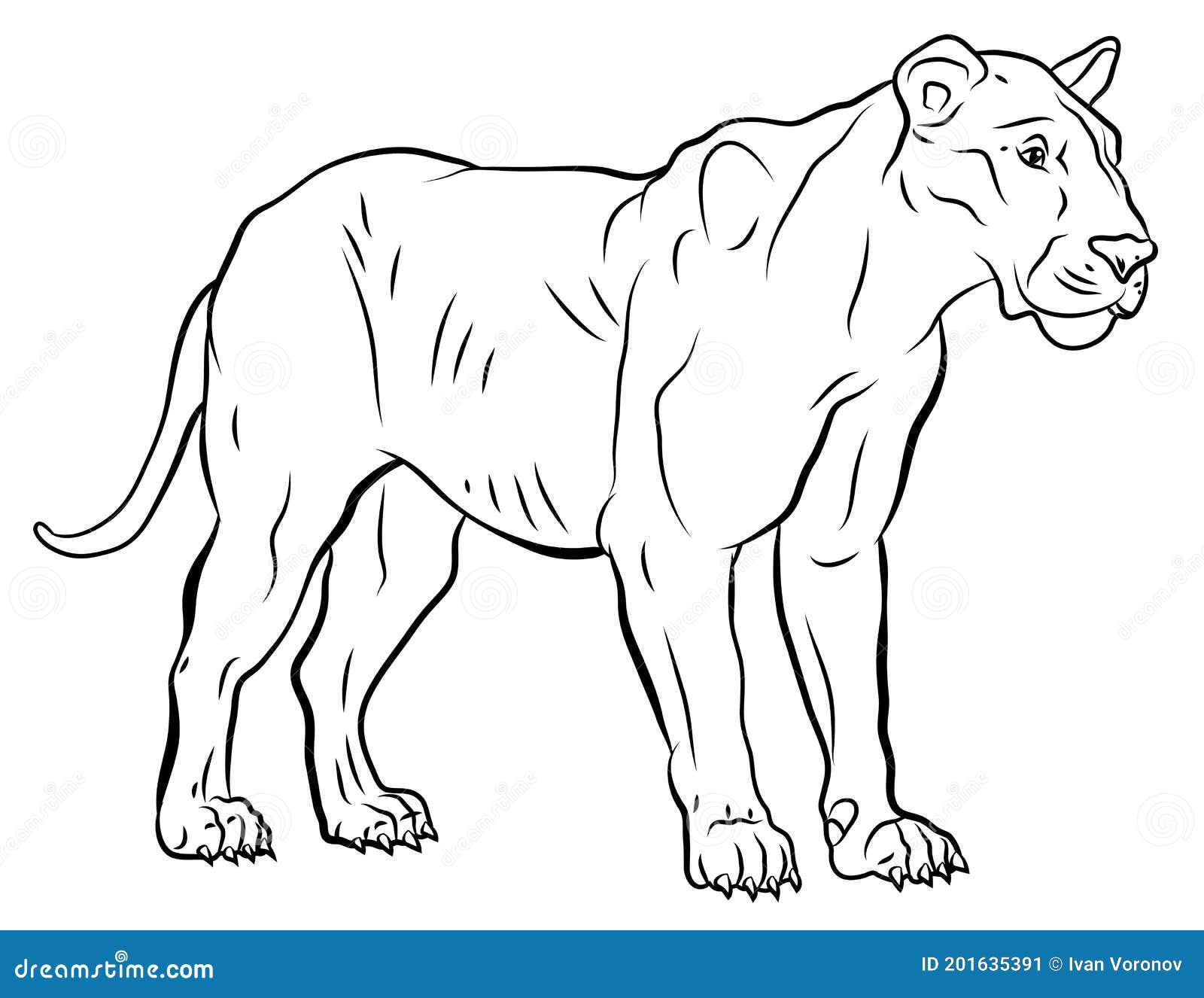 En El Mundo Animal. Imagen De Un Puma. Coloración De Dibujo En Blanco Y  Negro. Stock de ilustración - Ilustración de cubo, puma: 201635391