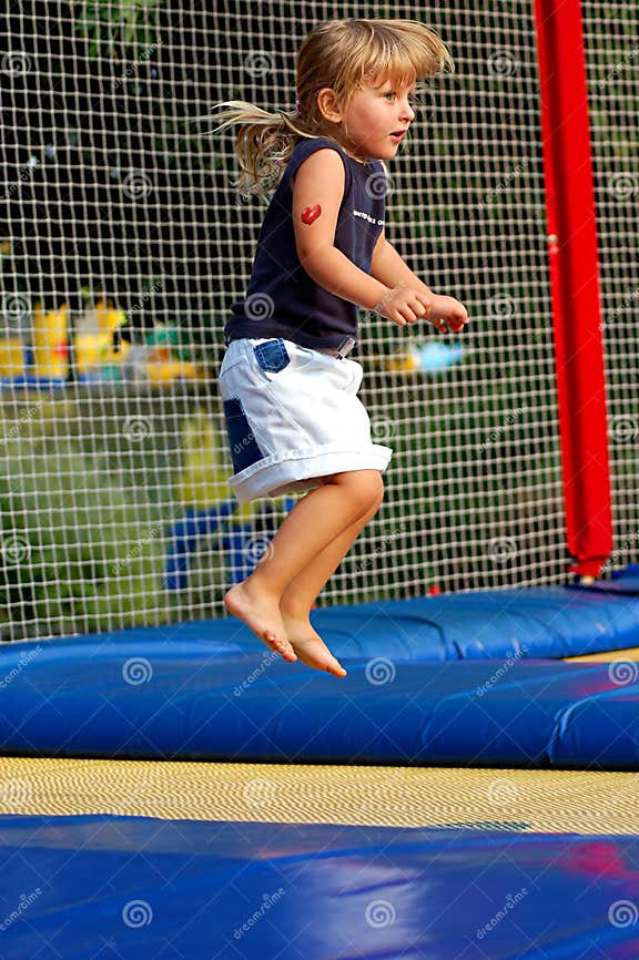 seguridad intelligence overview