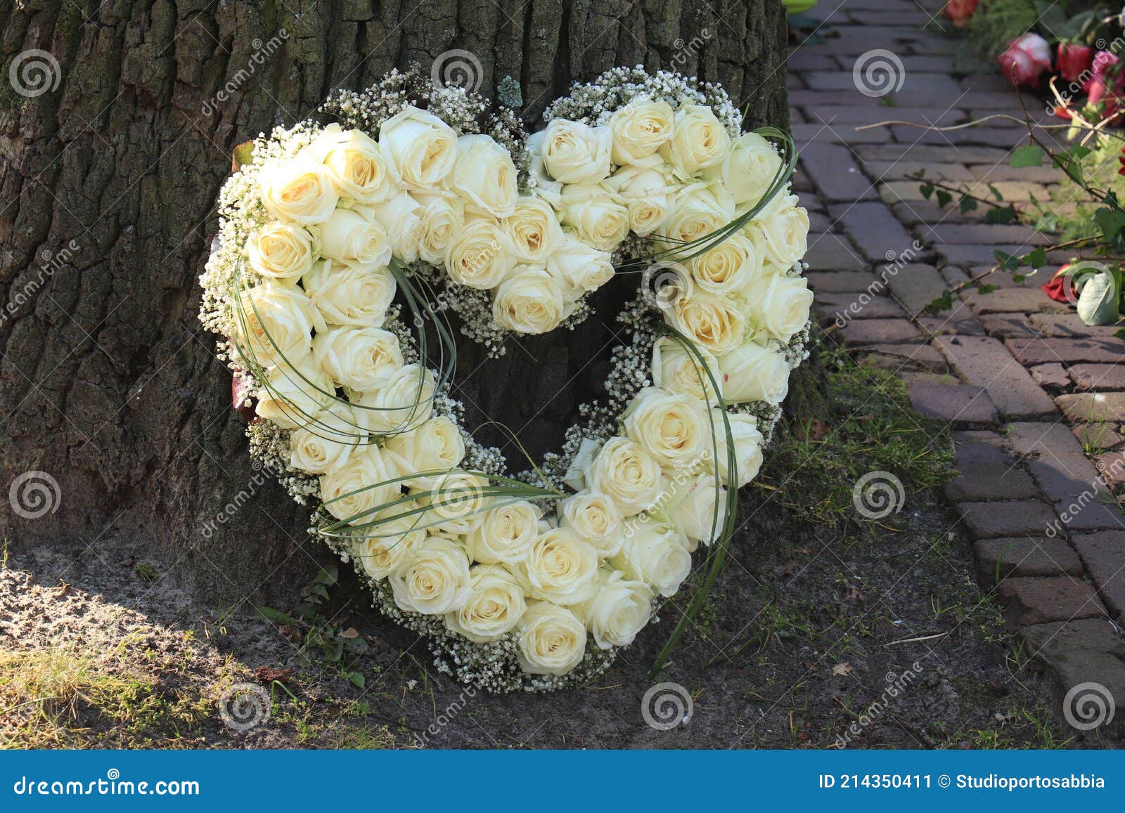 En Forma De Corazón Simpatía Arreglo Floral Rosas Blancas Imagen de archivo  - Imagen de romance, rosas: 214350411